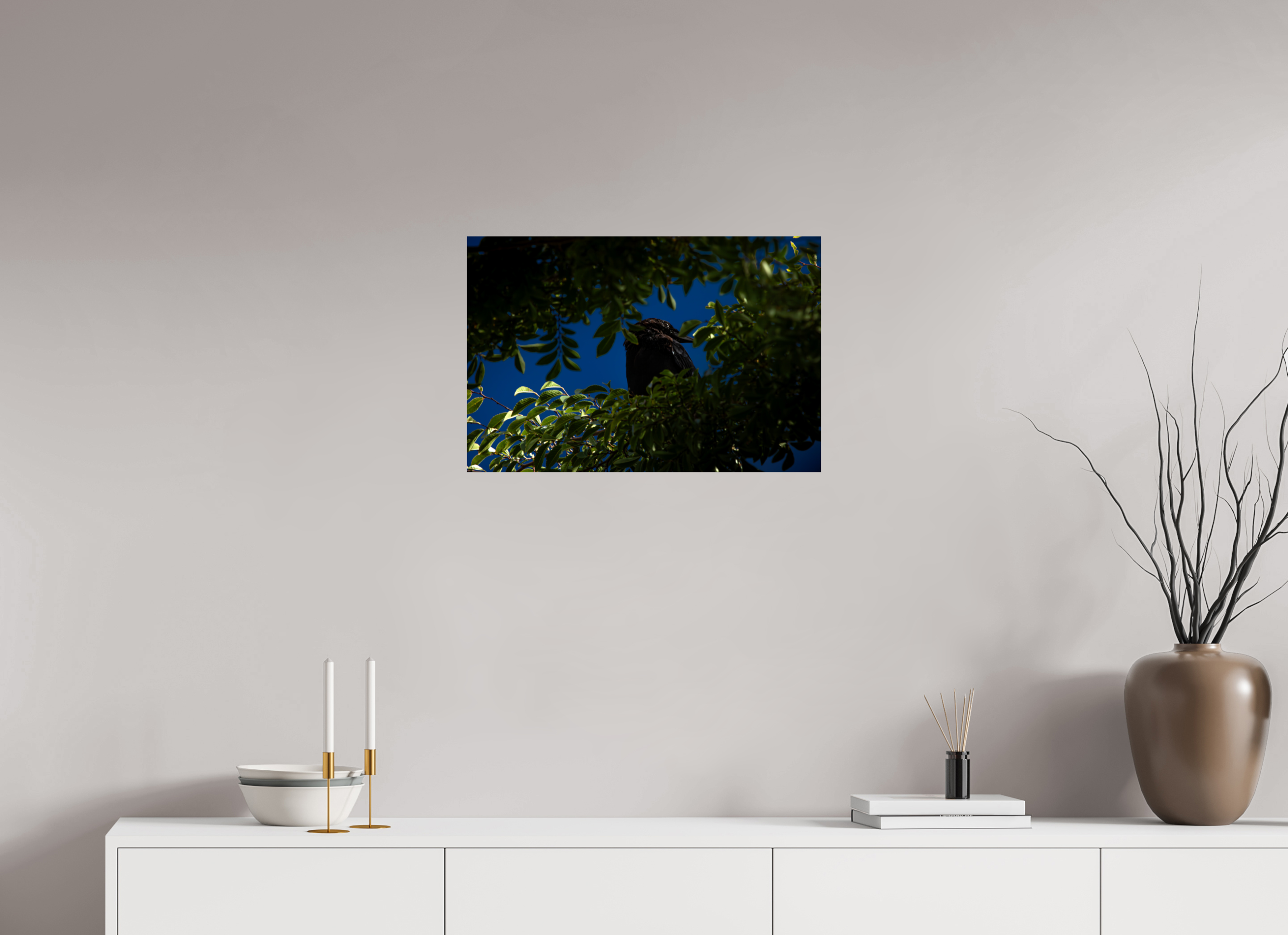 24 x 16″, Photo Print On Fuji Crystal DP II Common Raven Hidden in Tree Foliage West Jordan Utah
