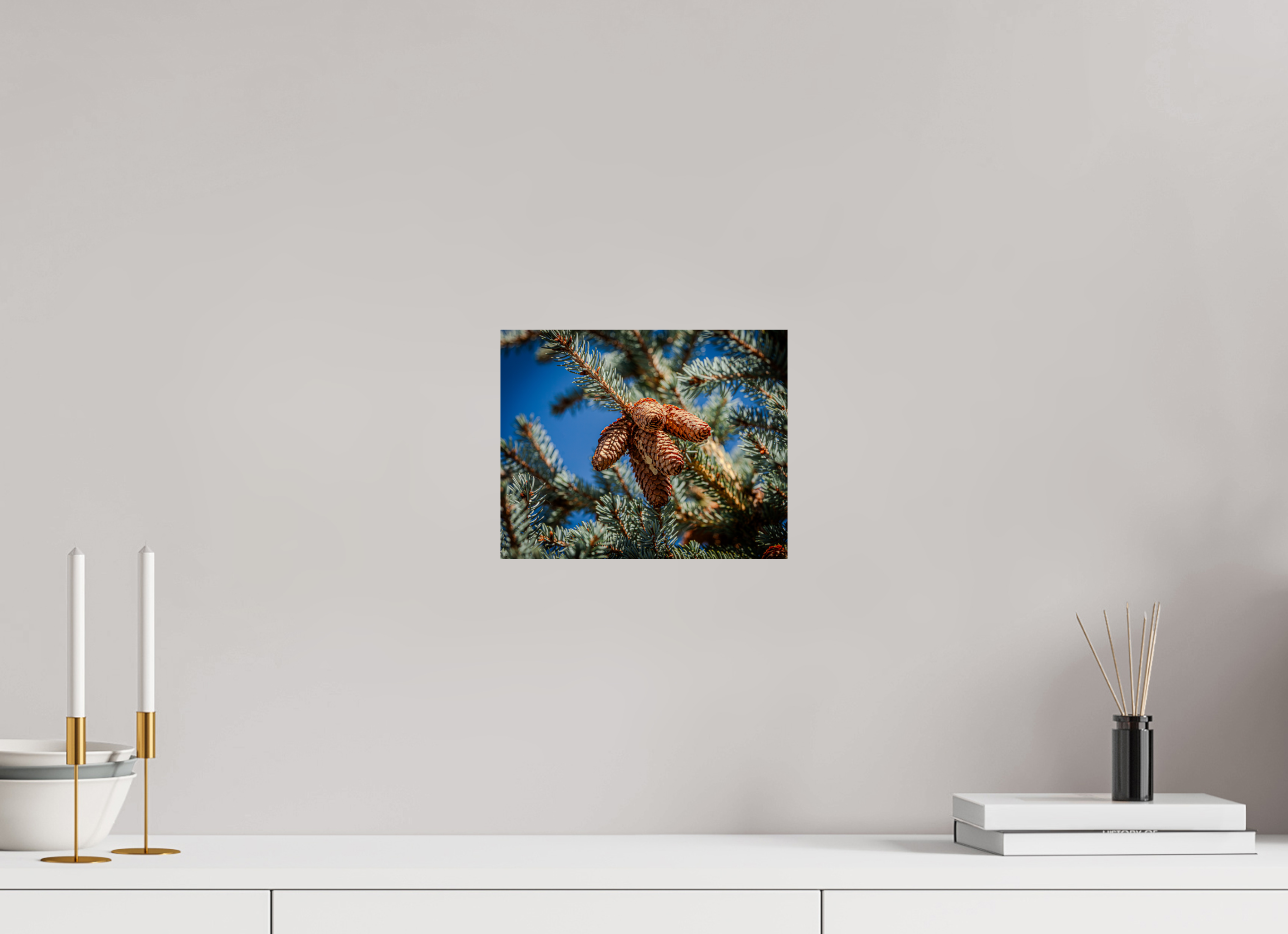 10 x 8″, Photo Print On Fuji Crystal DP II Blue Spruce Pinecones Salt Lake City Utah