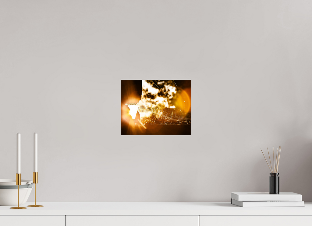 10 x 8″, Photo Print On Fuji Crystal DP II Sunlit Spider Web Golden Hour Salt Lake City