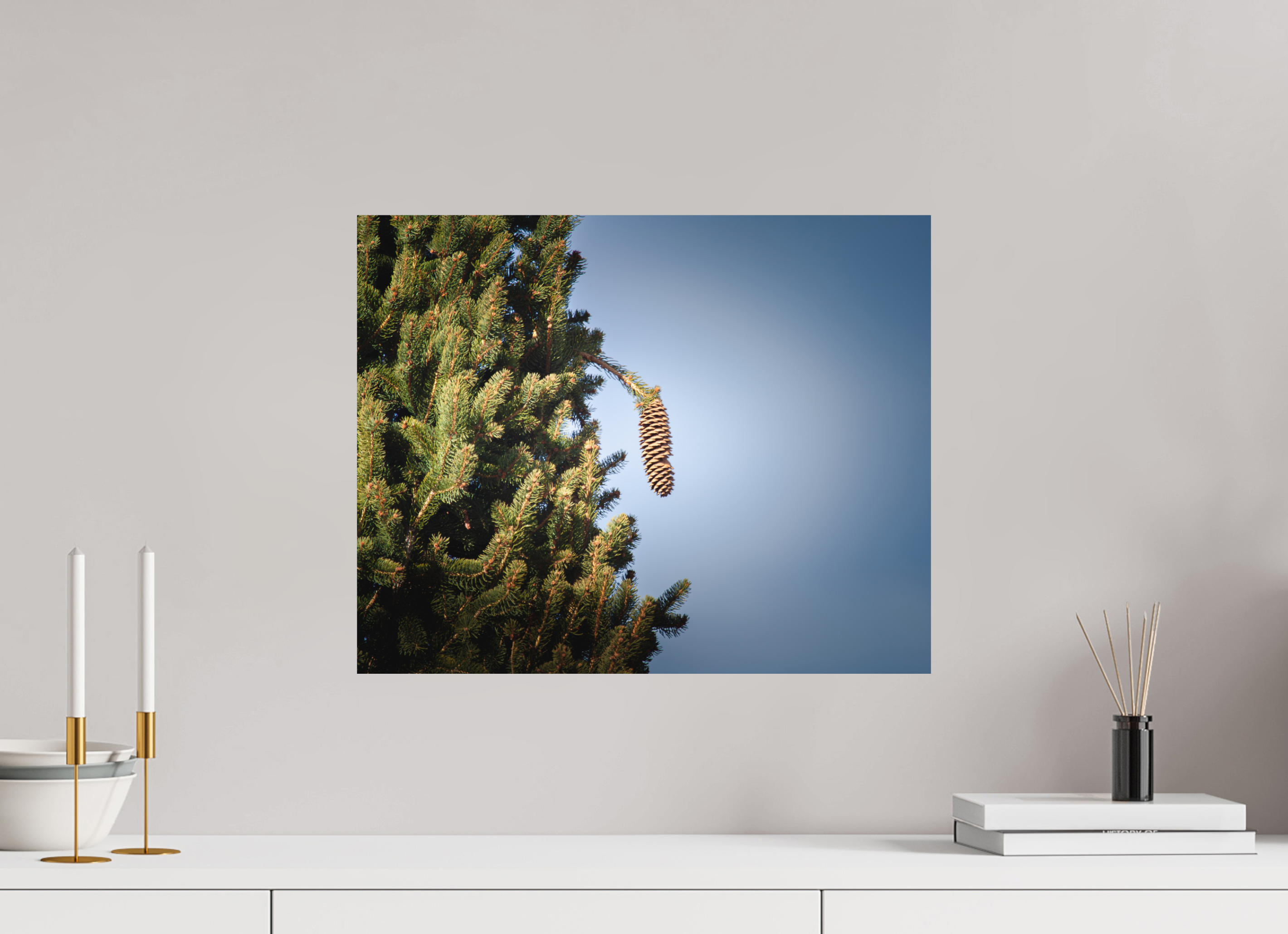 20 x 16″, Photo Print On Fuji Crystal DP II Single Pinecone Hanging on Evergreen Branch Salt Lake City