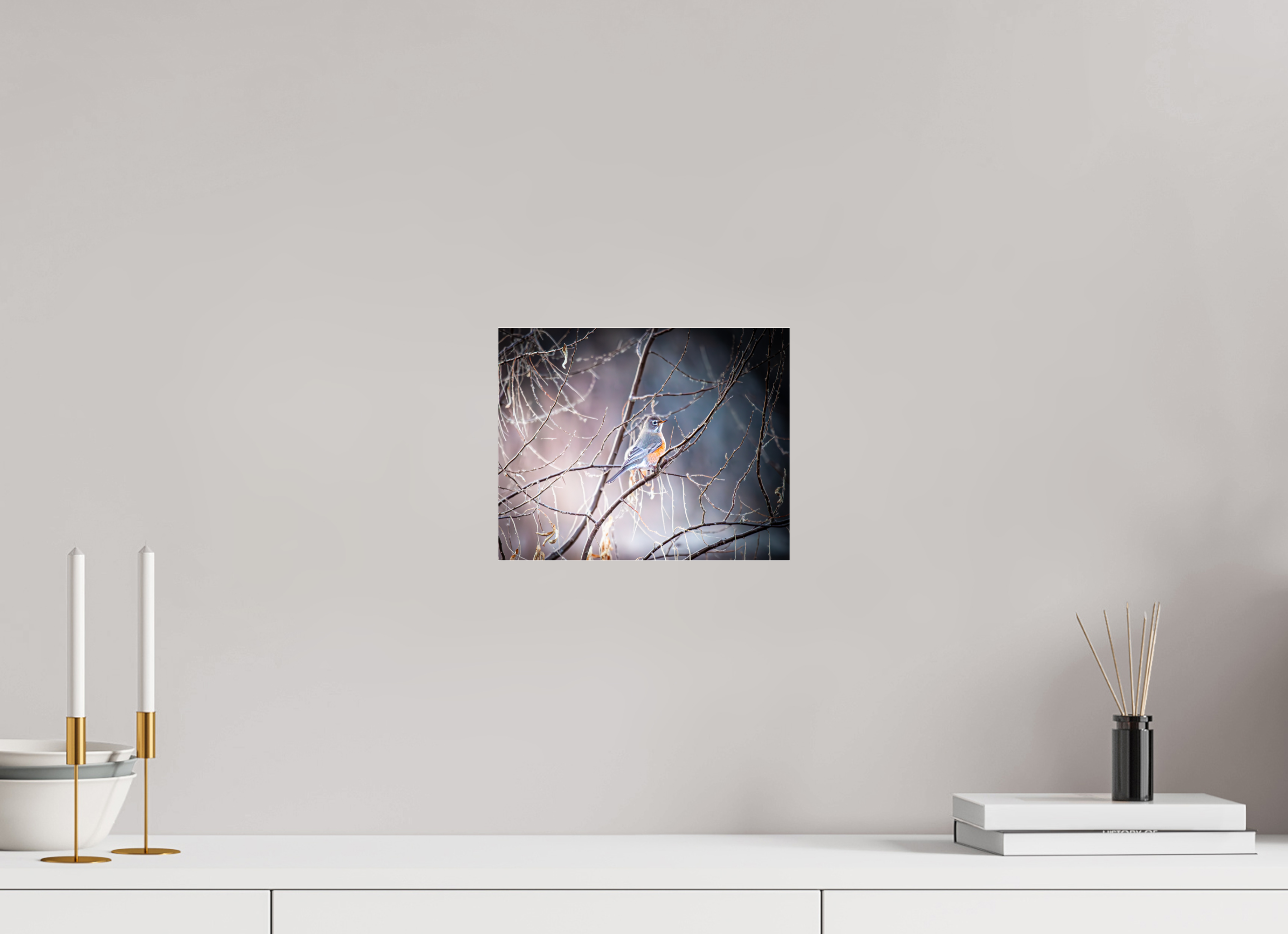 10 x 8″, Photo Print Under Acrylic Glass American Robin Perched in Winter Branches Salt Lake City