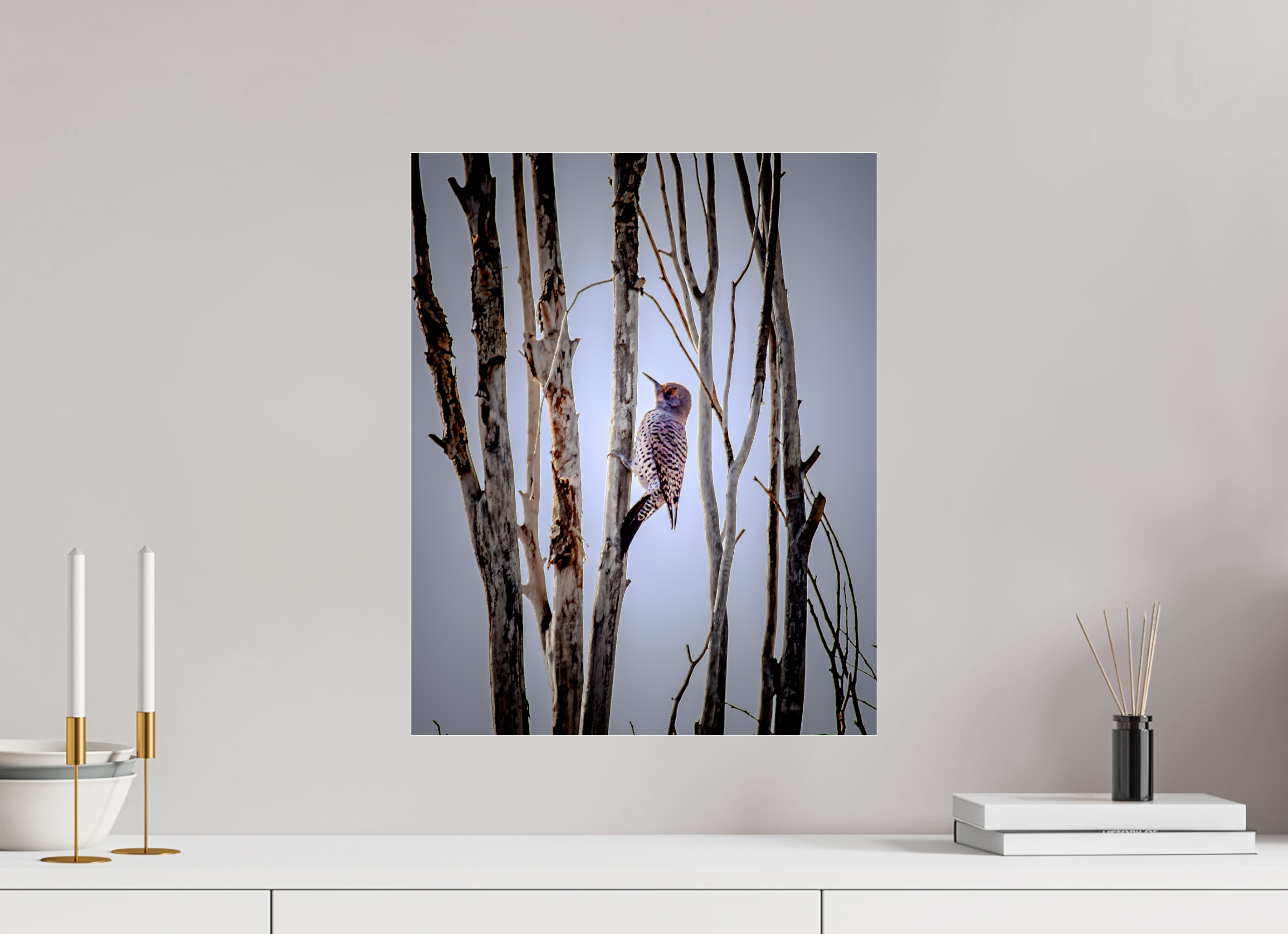16 x 20″, Photo Print Under Acrylic Glass Northern Flicker on Dead Tree Salt Lake City Utah