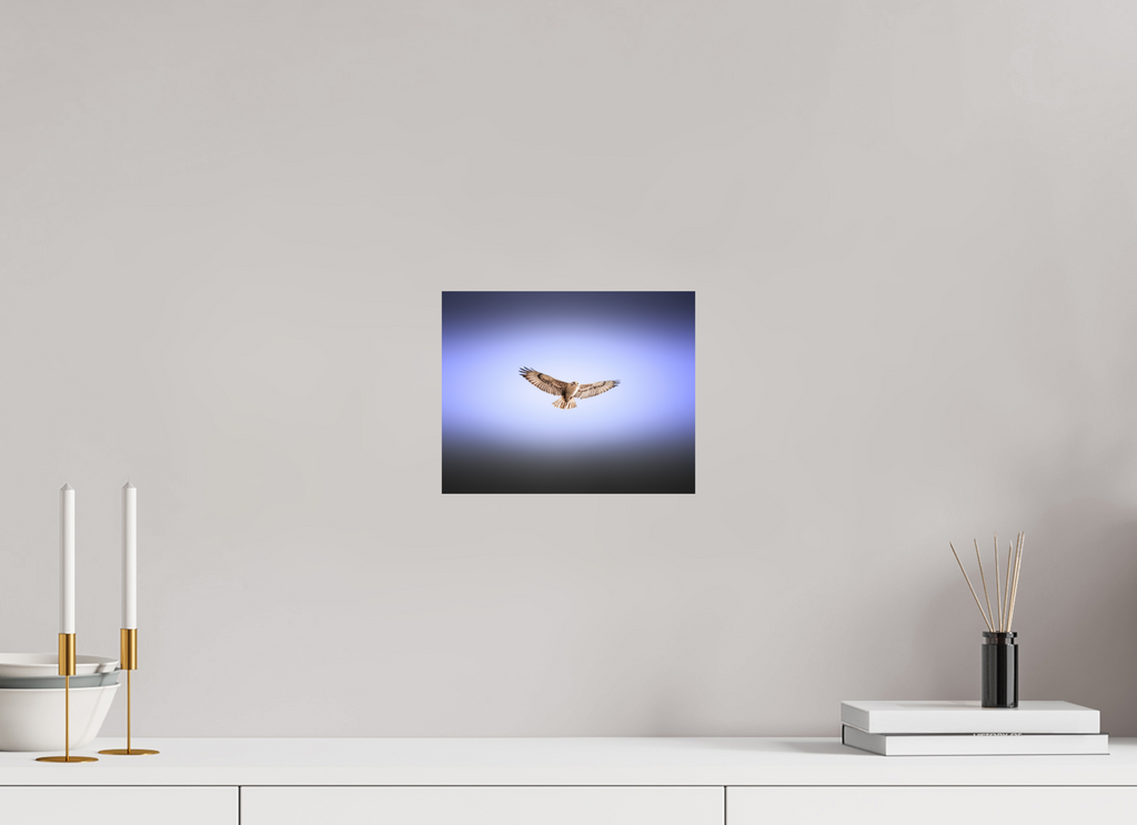 10 x 8″, Photo Print On Fuji Crystal DP II Red-tailed Hawk Soaring in Purple Sky Salt Lake City