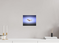 10 x 8″, Photo Print On Fuji Crystal DP II Red-tailed Hawk Soaring in Purple Sky Salt Lake City
