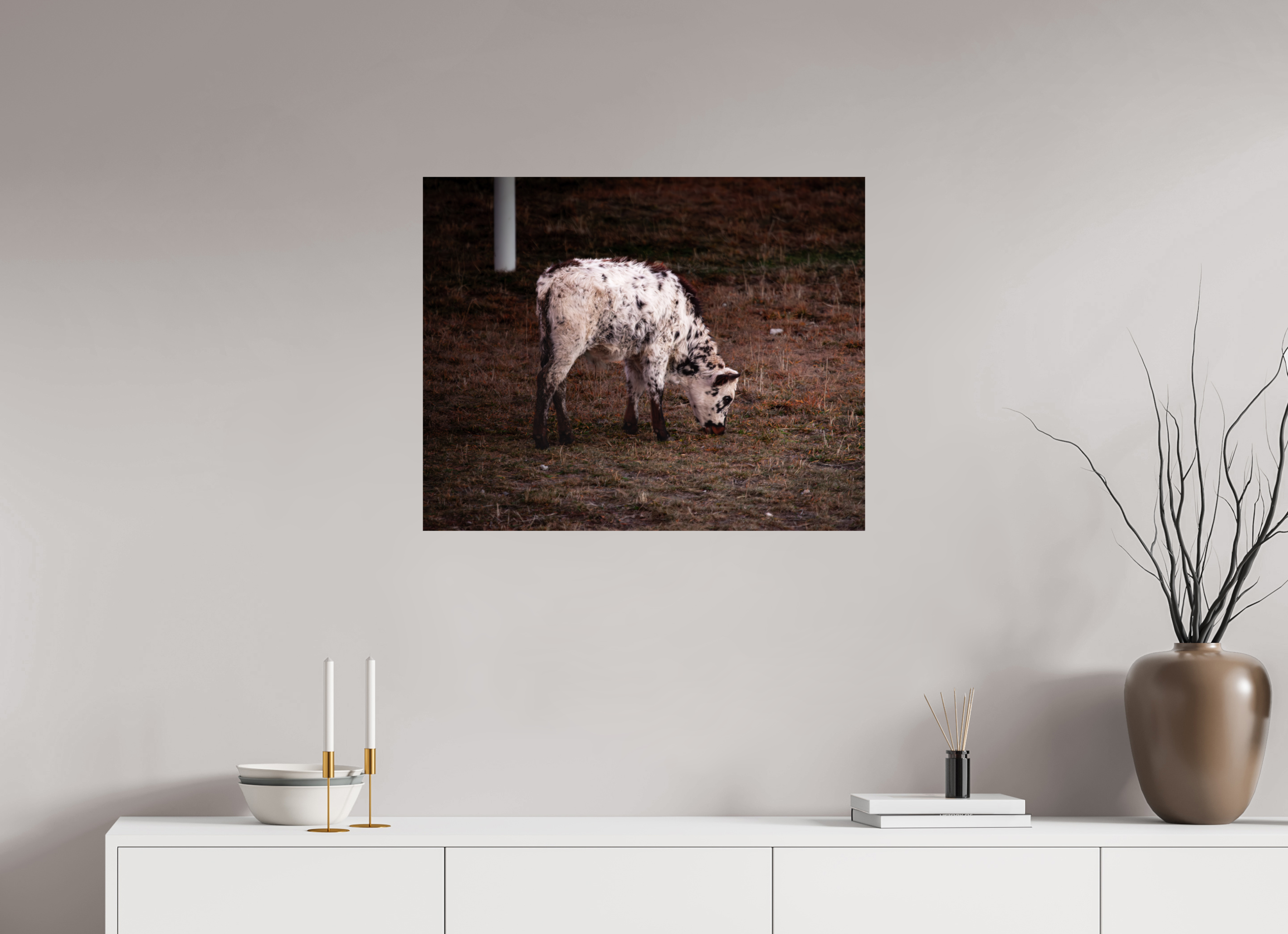 30 x 24″, Photo Print On Fuji Crystal DP II Speckle Park Calf Grazing Salt Lake City Utah
