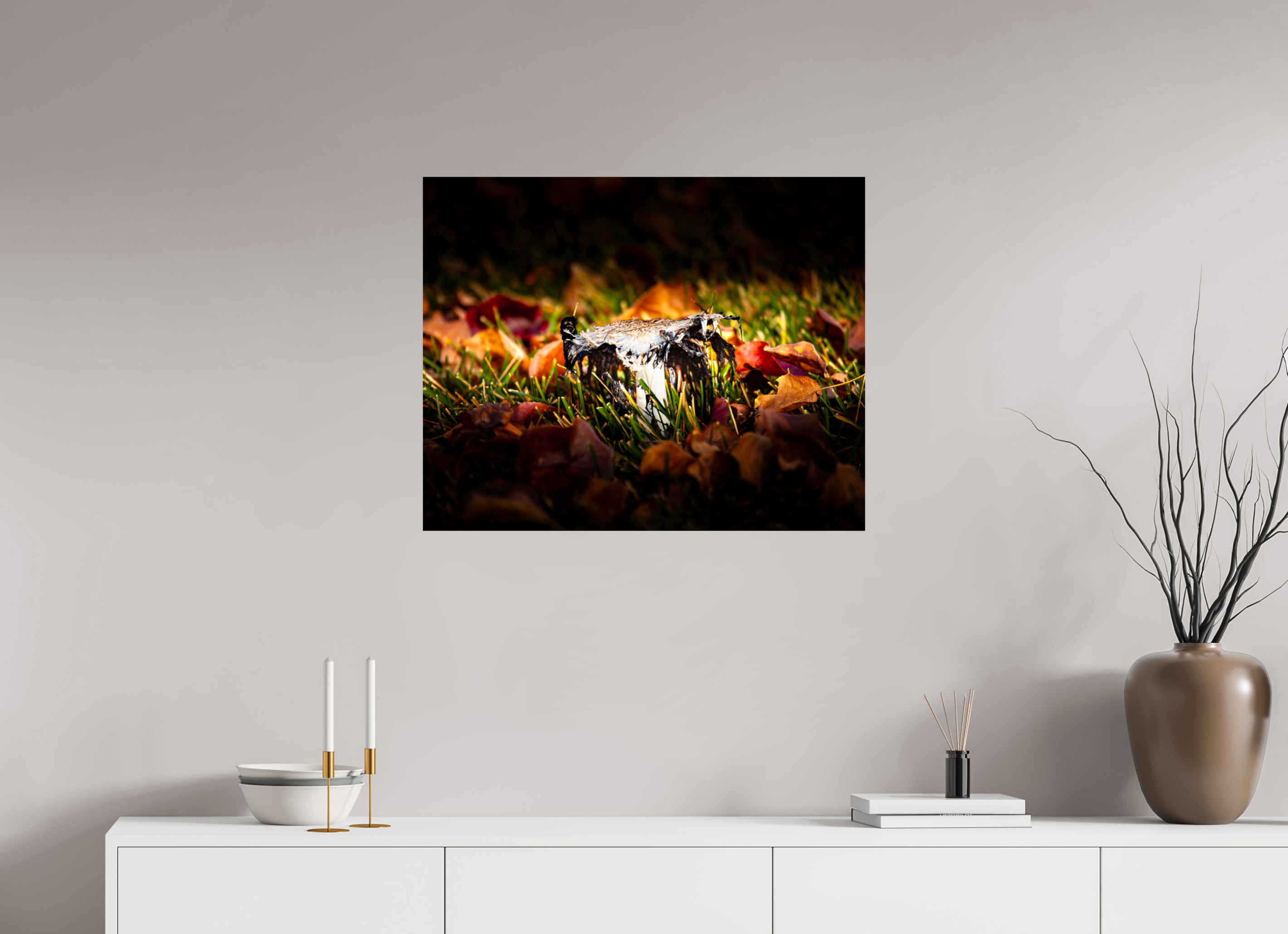 30 x 24″, Photo Print On Fuji Crystal DP II Shaggy Mane Mushroom Decaying in Autumn Leaves SLC