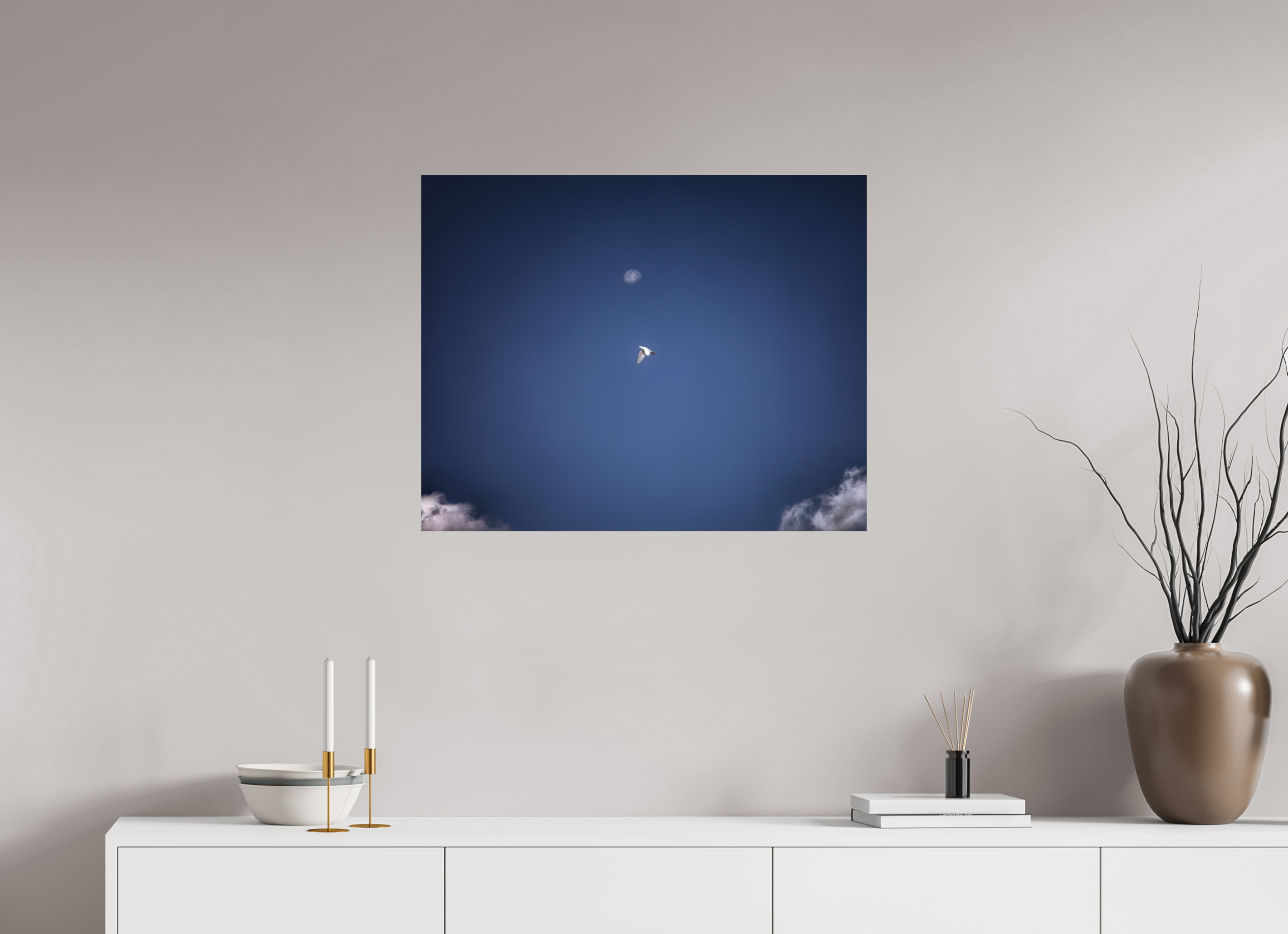 30 x 24″, Photo Print Under Acrylic Glass White Bird in Flight with Daytime Moon Salt Lake City