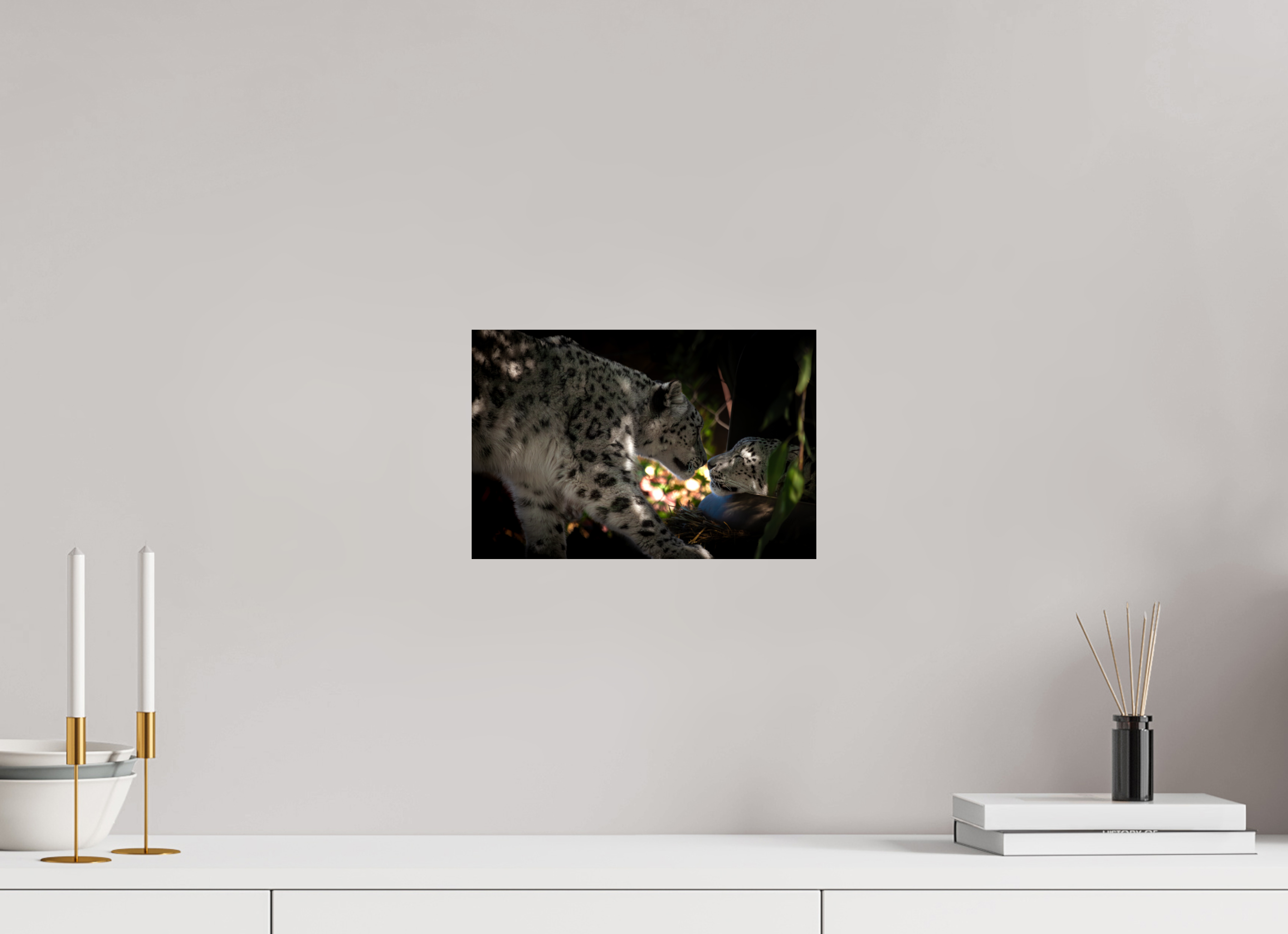 12 x 8″, Photo Print On Fuji Crystal DP II Snow Leopards