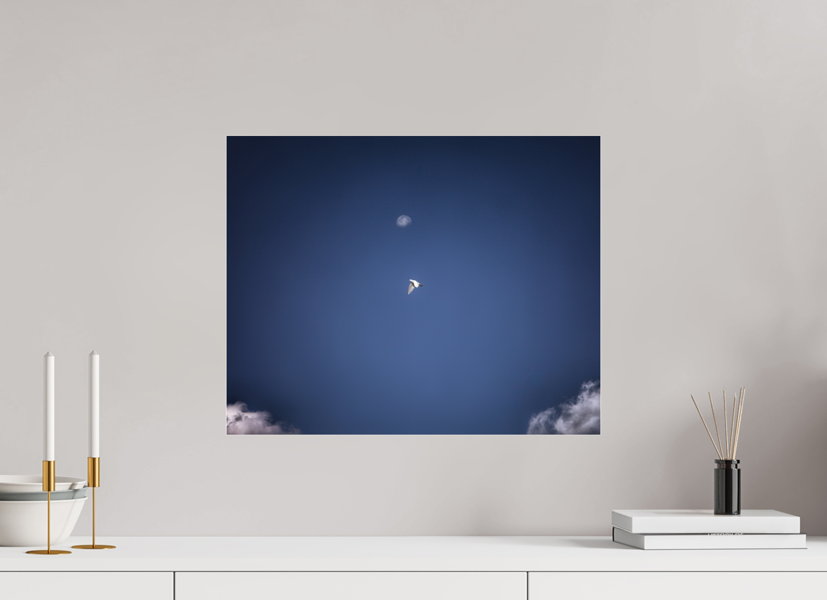 20 x 16″, Photo Print Under Acrylic Glass White Bird in Flight with Daytime Moon Salt Lake City