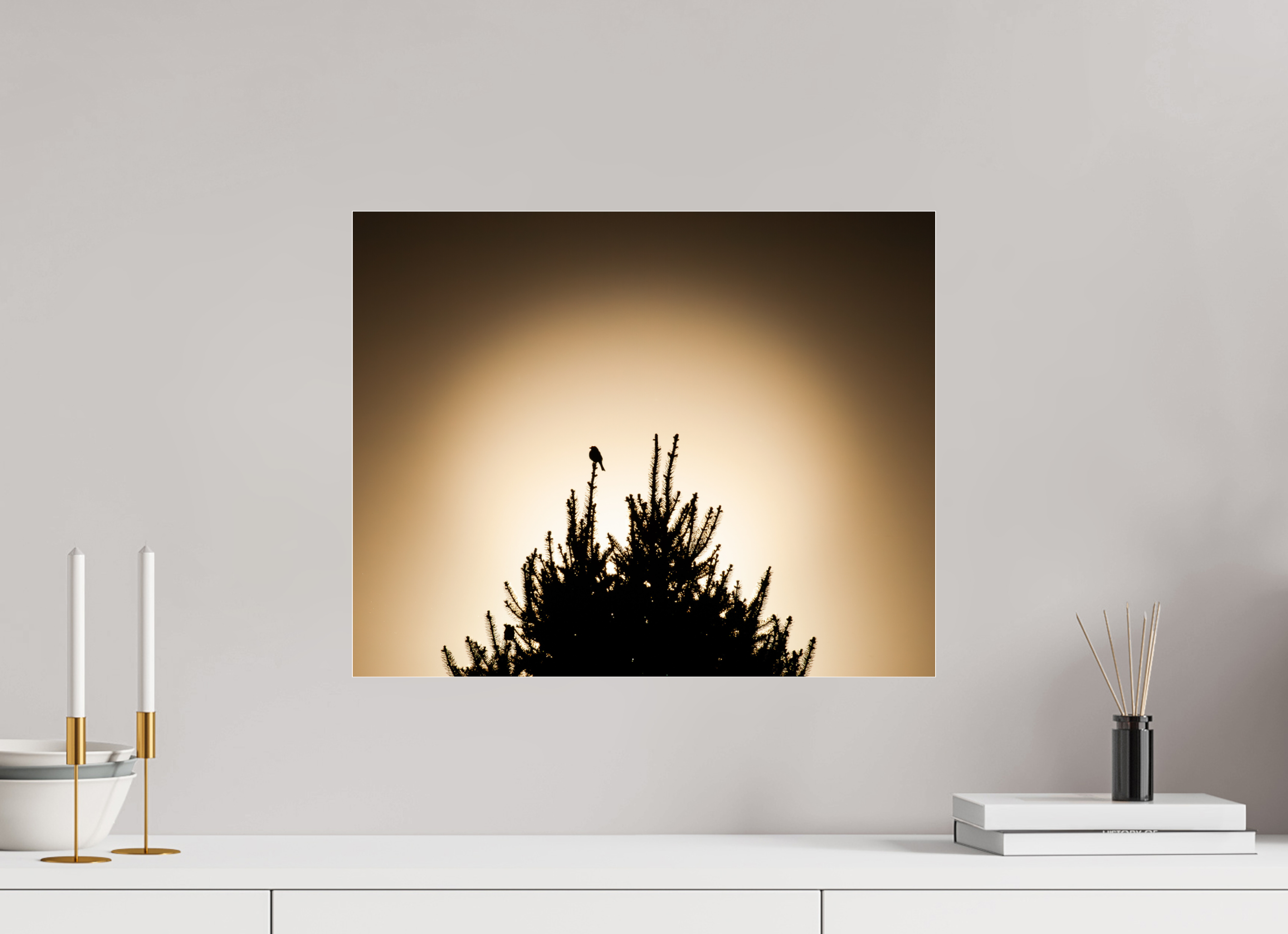 20 x 16″, Photo Print Under Acrylic Glass Bird Silhouette on Evergreen Tree at Sunset Salt Lake City