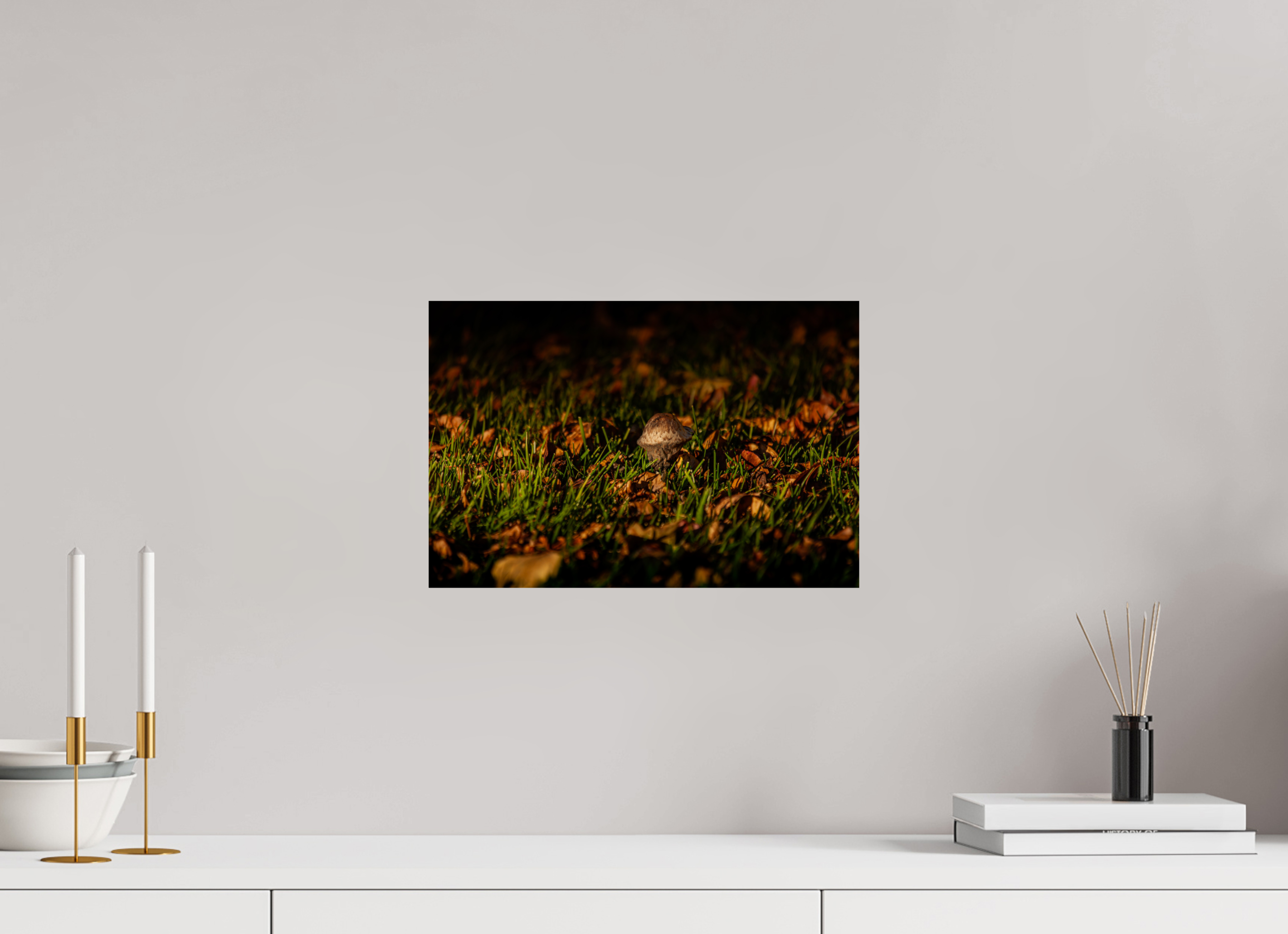 15 x 10″, Photo Print On Fuji Crystal DP II Autumn Mushroom in Fallen Leaves Salt Lake City Label: Nature Photography