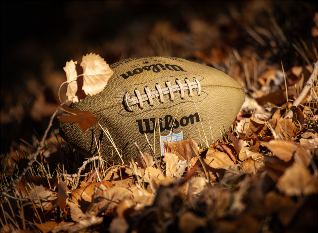 Main image Wilson Football in Autumn Leaves Salt Lake City