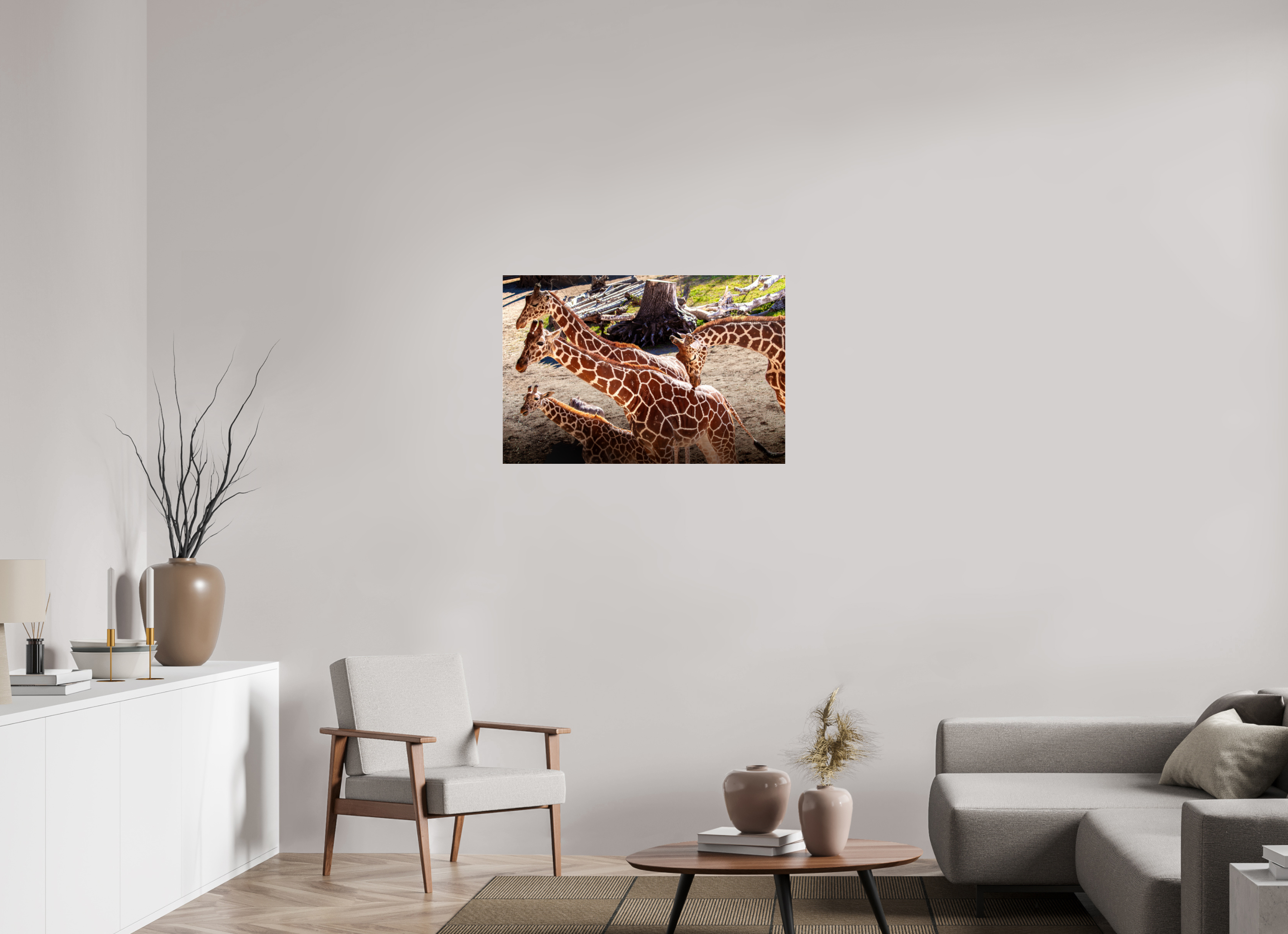 36 x 24″, Photo Print Under Acrylic Glass Reticulated Giraffe Family Hogle Zoo Salt Lake City-