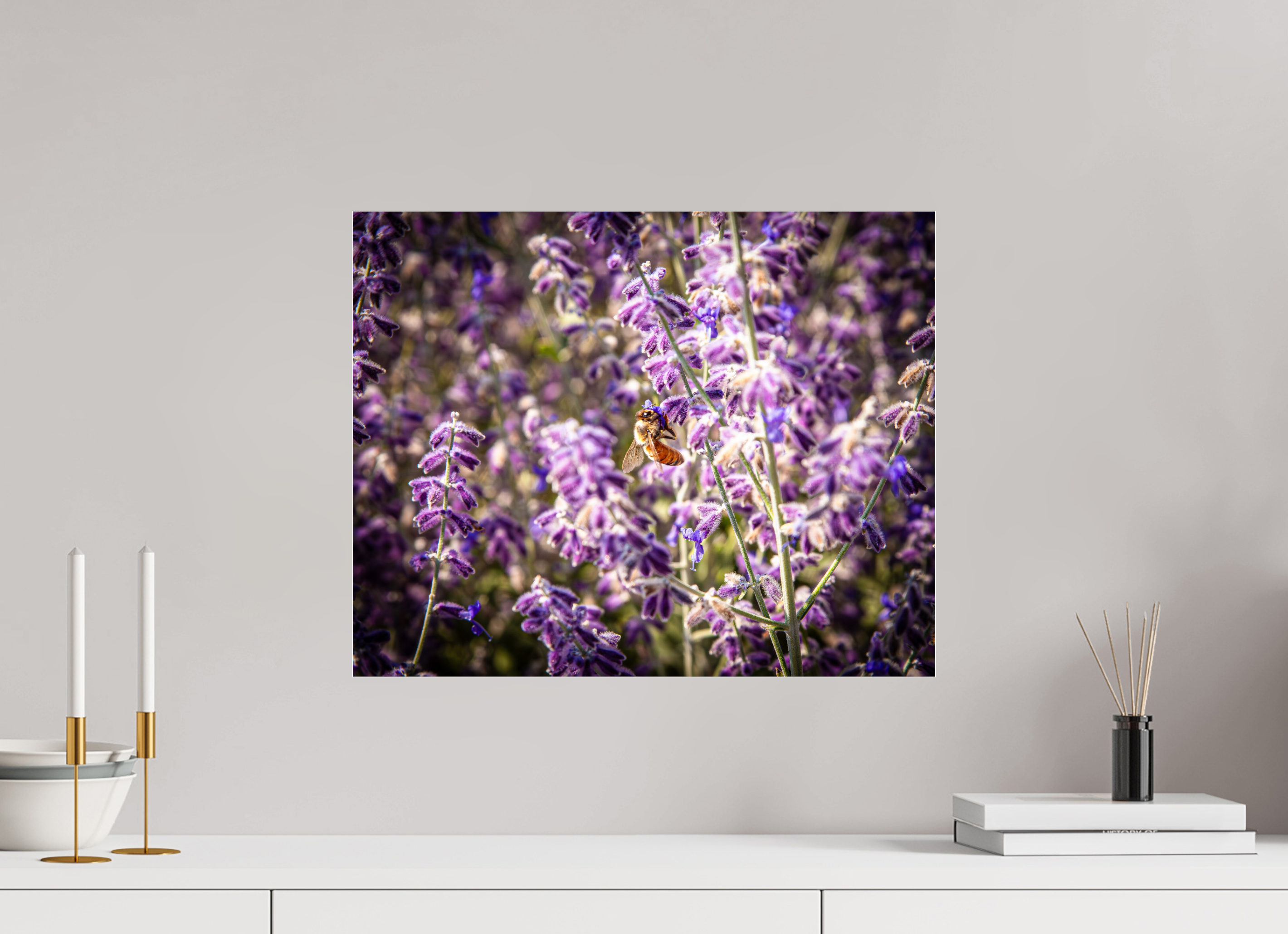 20 x 16″, Photo Print Under Acrylic Glass Pollinating Russian Sage Salt Lake City