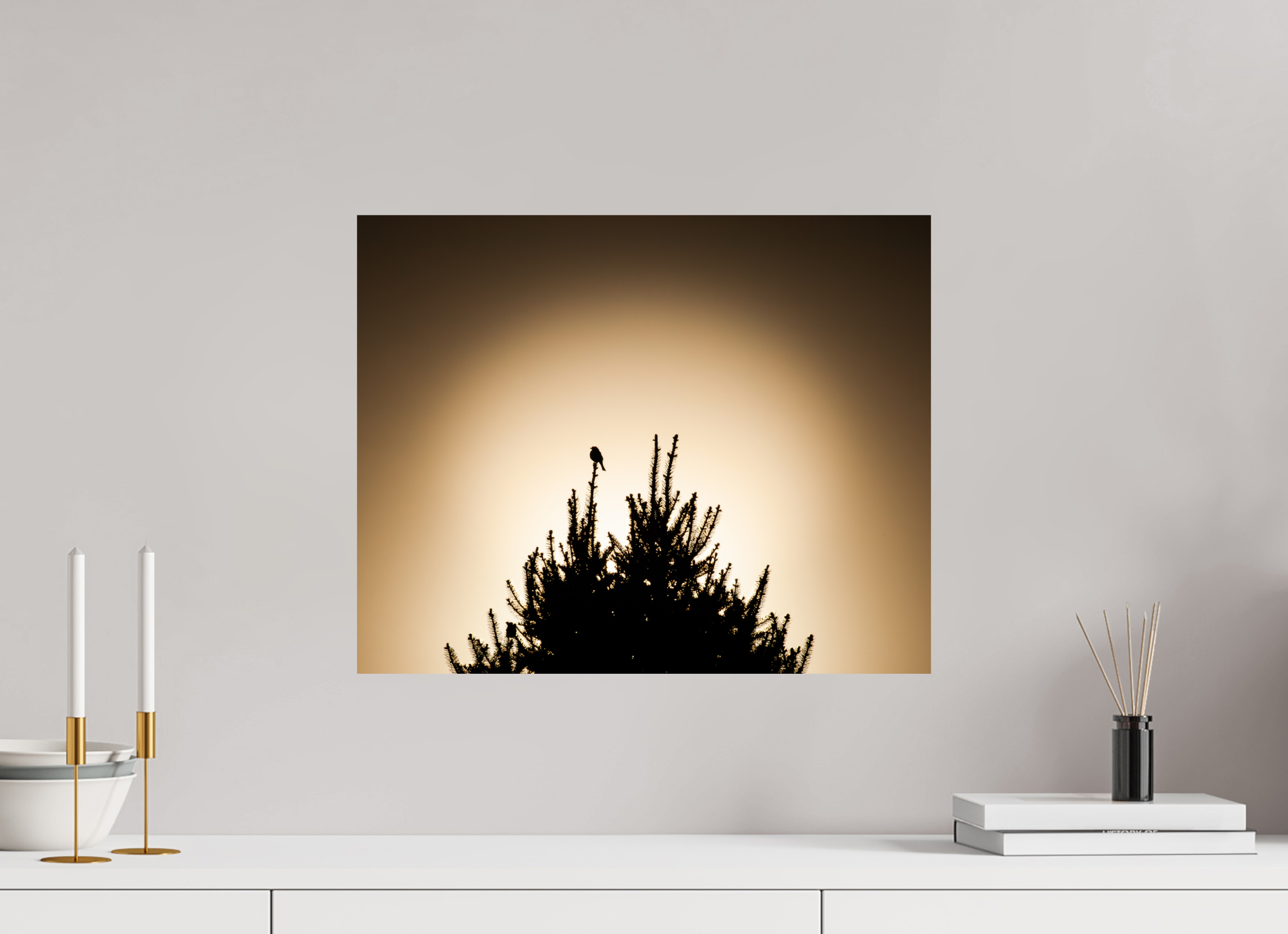 20 x 16″, Photo Print On Fuji Crystal DP II Bird Silhouette on Evergreen Tree at Sunset Salt Lake City