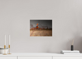 12 x 9″, Photo Print Under Acrylic Glass Red Tail Kestrel Falcon