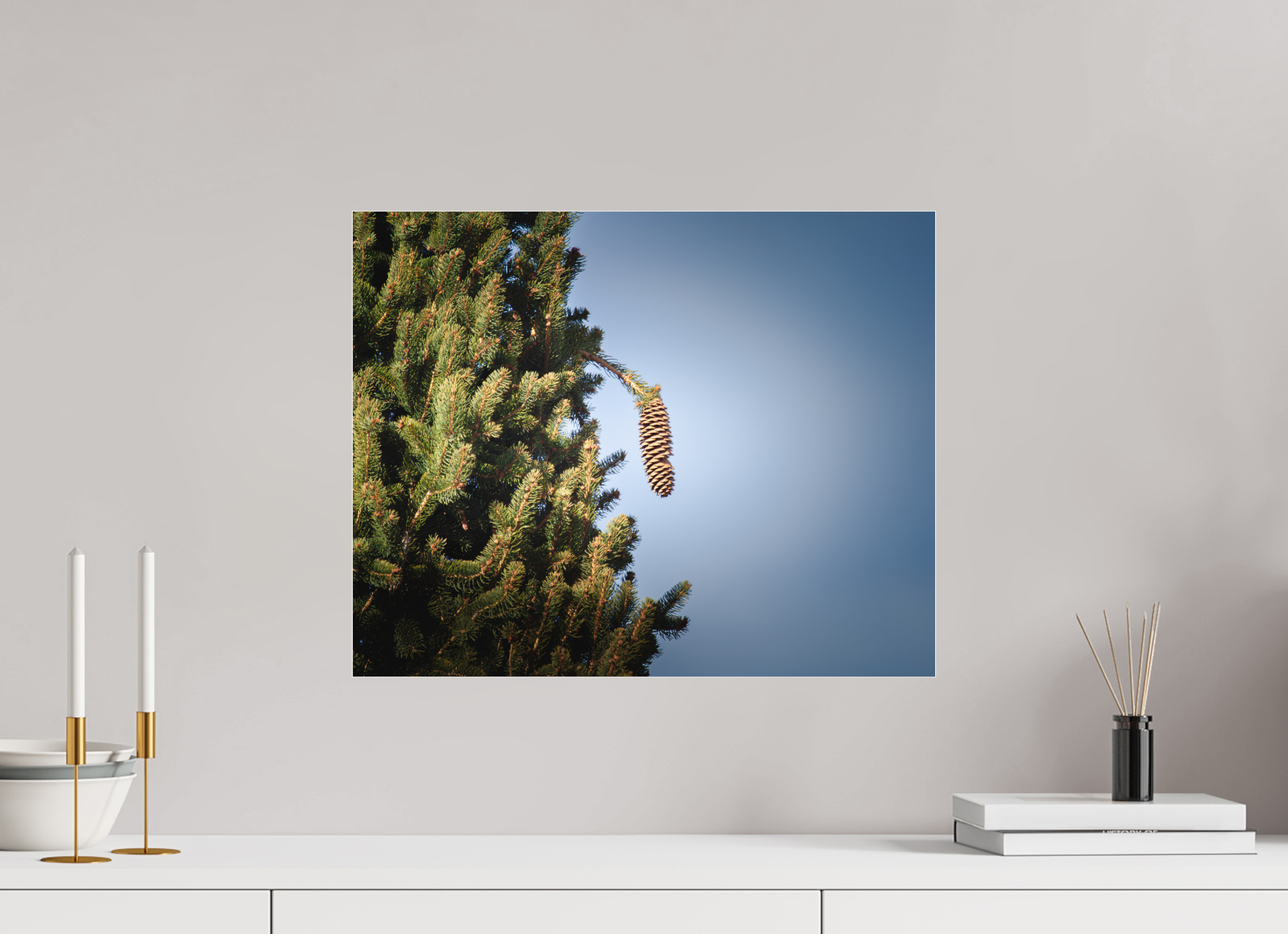 20 x 16″, Photo Print Under Acrylic Glass Single Pinecone Hanging on Evergreen Branch Salt Lake City