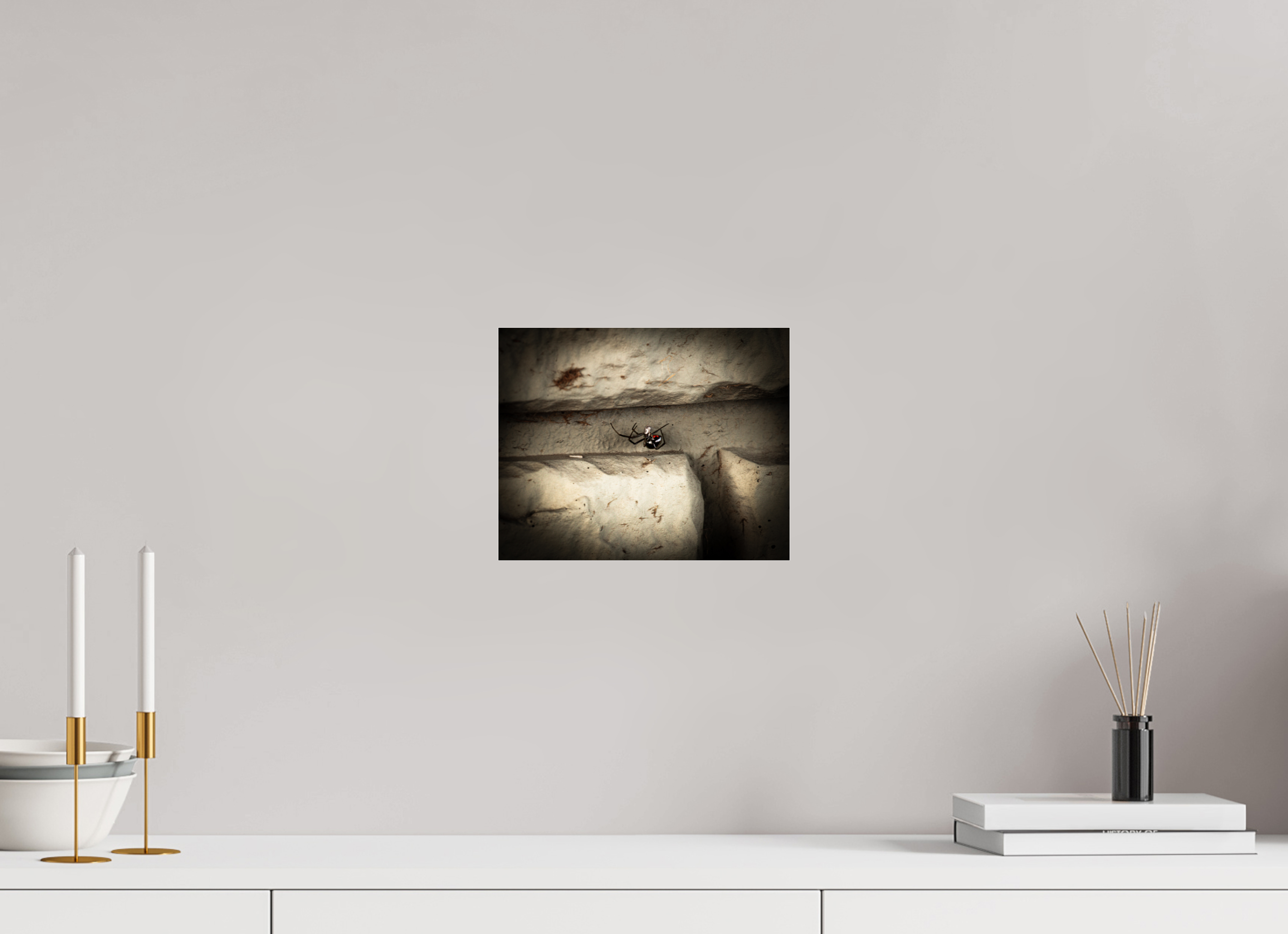 10 x 8″, Photo Print Under Acrylic Glass Black Widow Spider with Red Hourglass Salt Lake City Utah