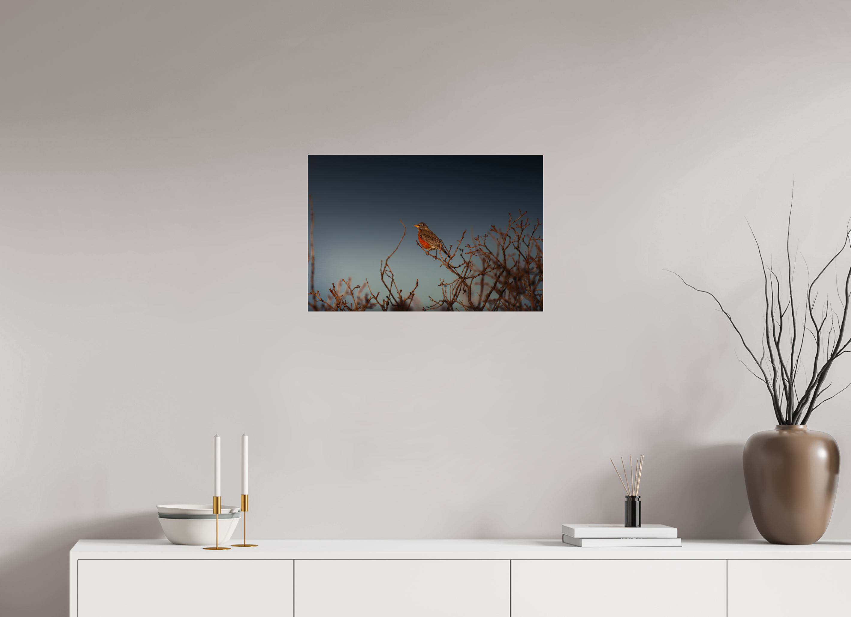 24 x 16″, Photo Print Under Acrylic Glass American Robin Perched on Bare Branches Salt Lake City Utah