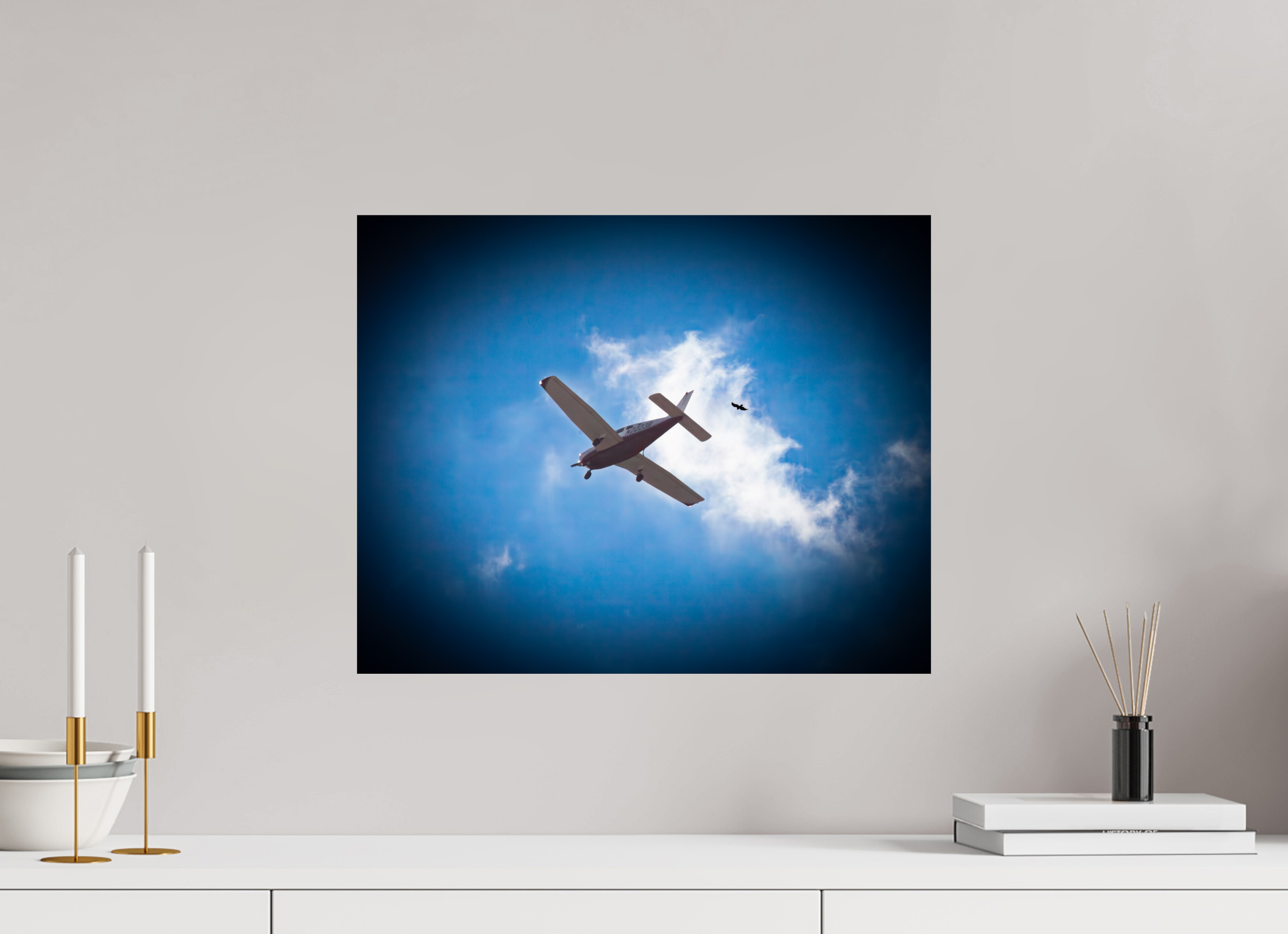 20 x 16″, Photo Print On Fuji Crystal DP II Small Propeller Plane and Bird in Flight West Jordan