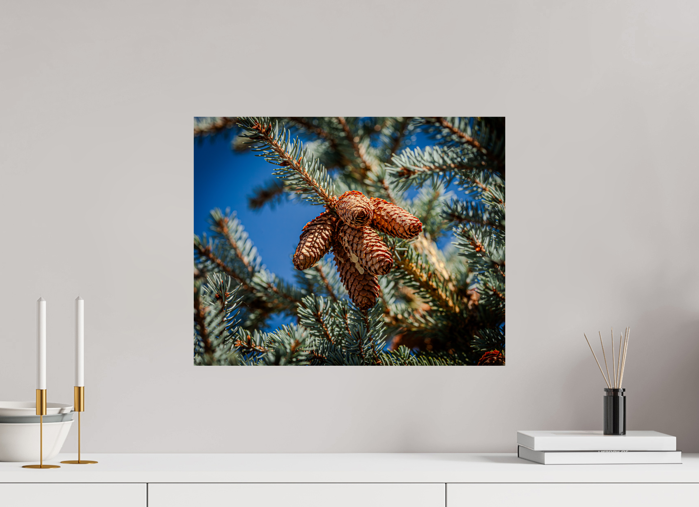 20 x 16″, Photo Print On Fuji Crystal DP II Blue Spruce Pinecones Salt Lake City Utah