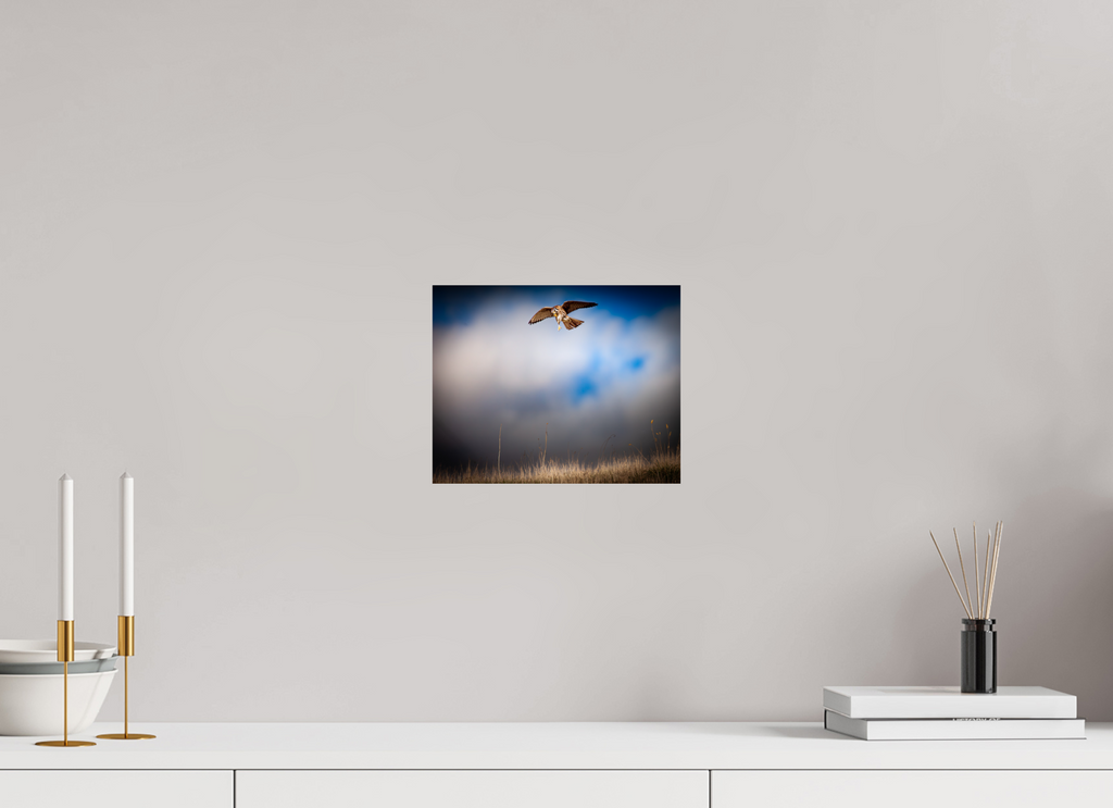 10 x 8″, Photo Print On Fuji Crystal DP II Hovering American Kestrel Stormy Sky Salt Lake City