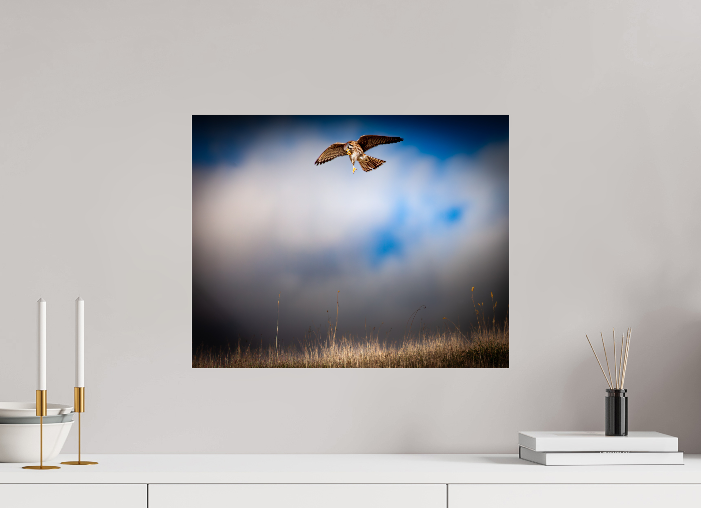 20 x 16″, Photo Print Under Acrylic Glass Hovering American Kestrel Stormy Sky Salt Lake City
