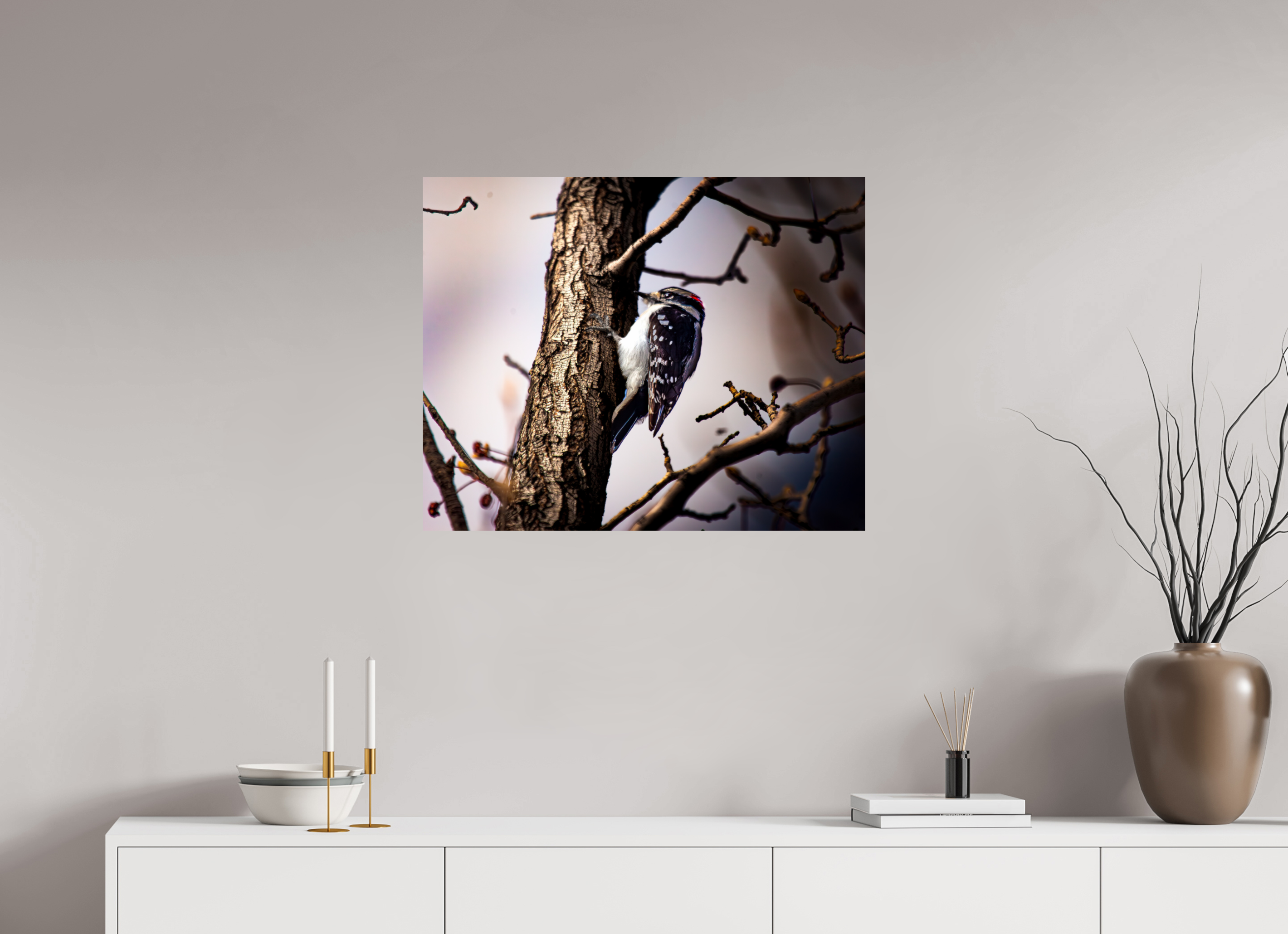 30 x 24″, Photo Print On Fuji Crystal DP II Male Downy Woodpecker on Tree Trunk Salt Lake City