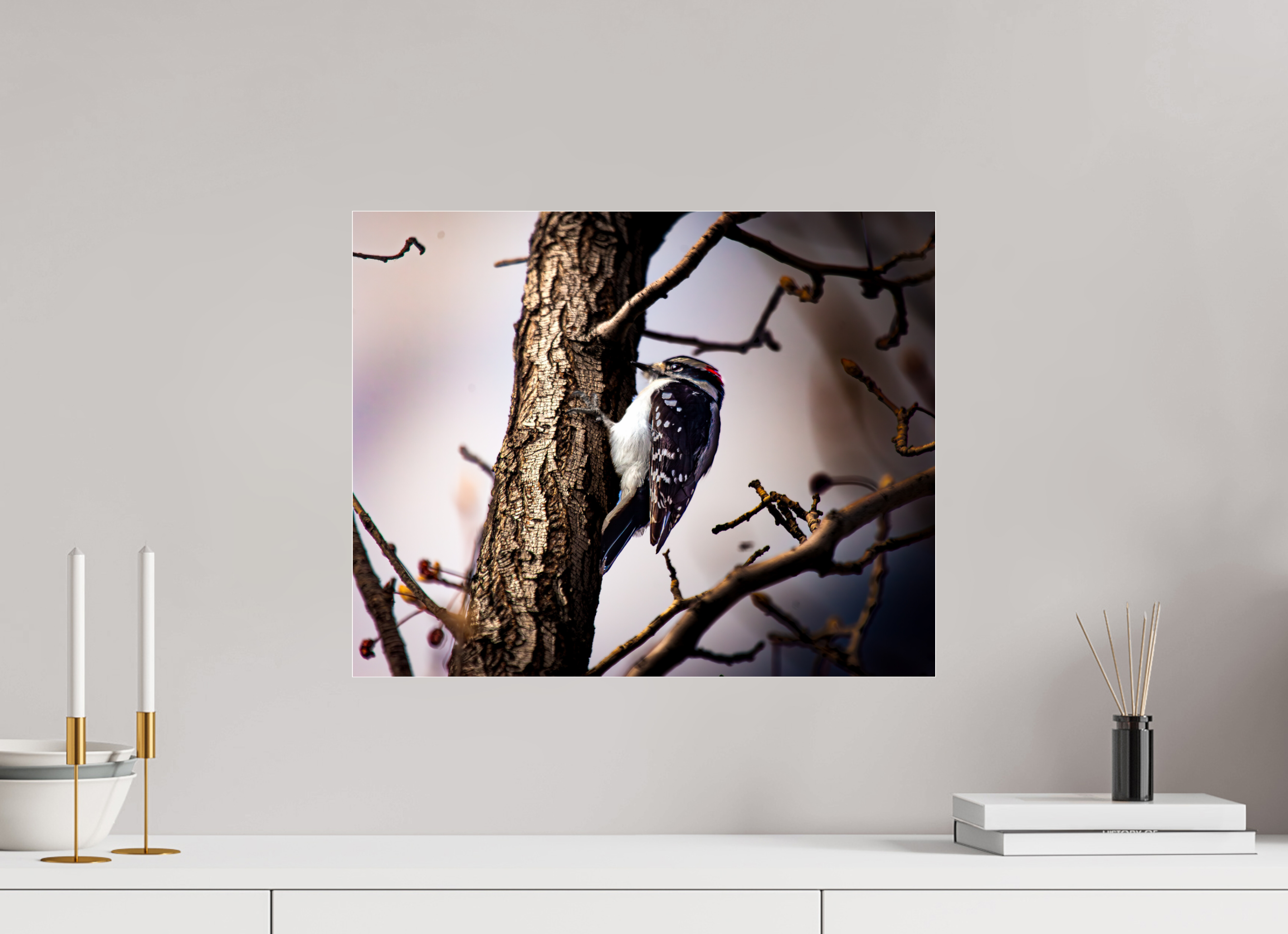 20 x 16″, Photo Print Under Acrylic Glass Male Downy Woodpecker on Tree Trunk Salt Lake City