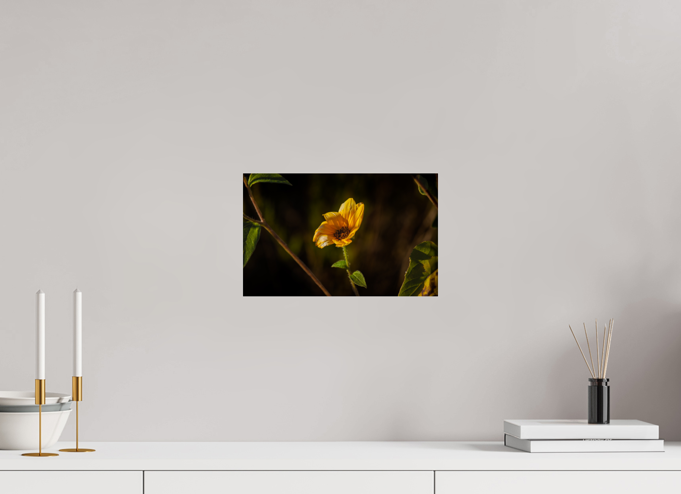 12.7 x 8″, Photo Print Under Acrylic Glass Wild Sunflower Spotlight Salt Lake City Utah