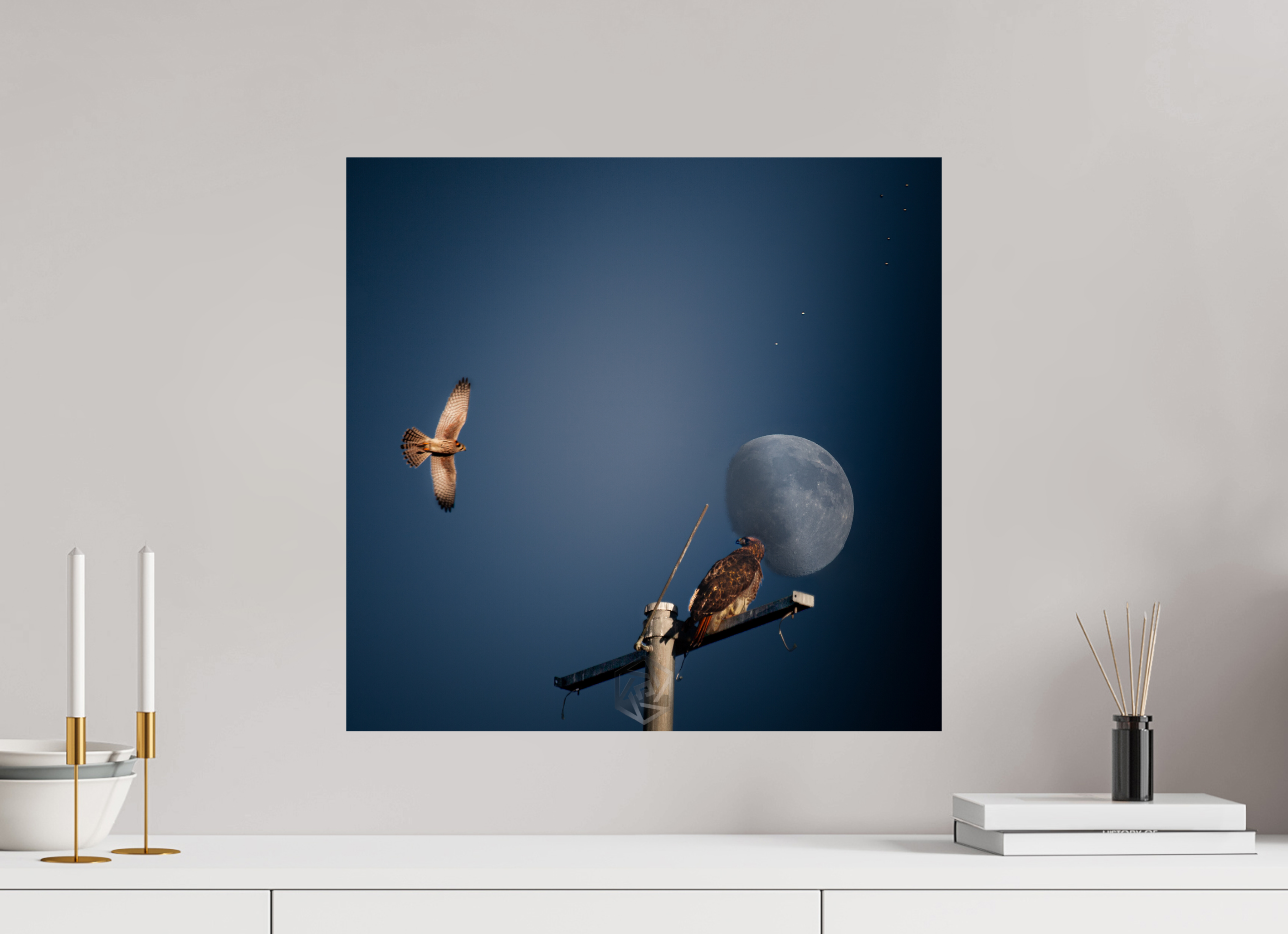 20.7 x 20″, Photo Print On Fuji Crystal DP II Raptors and Giant Moon over Salt Lake City
