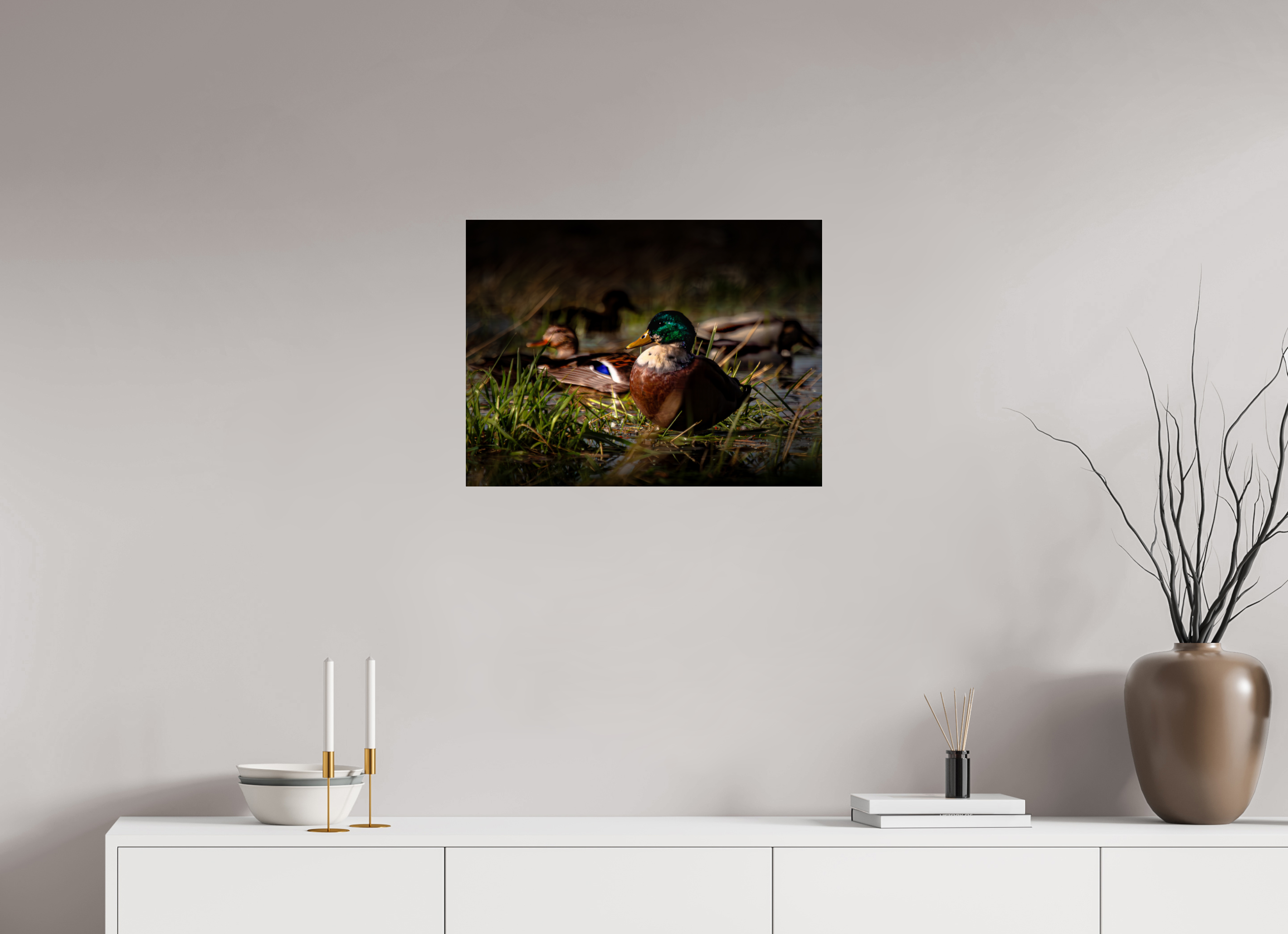 24 x 18″, Photo Print Under Acrylic Glass Mallard Duck