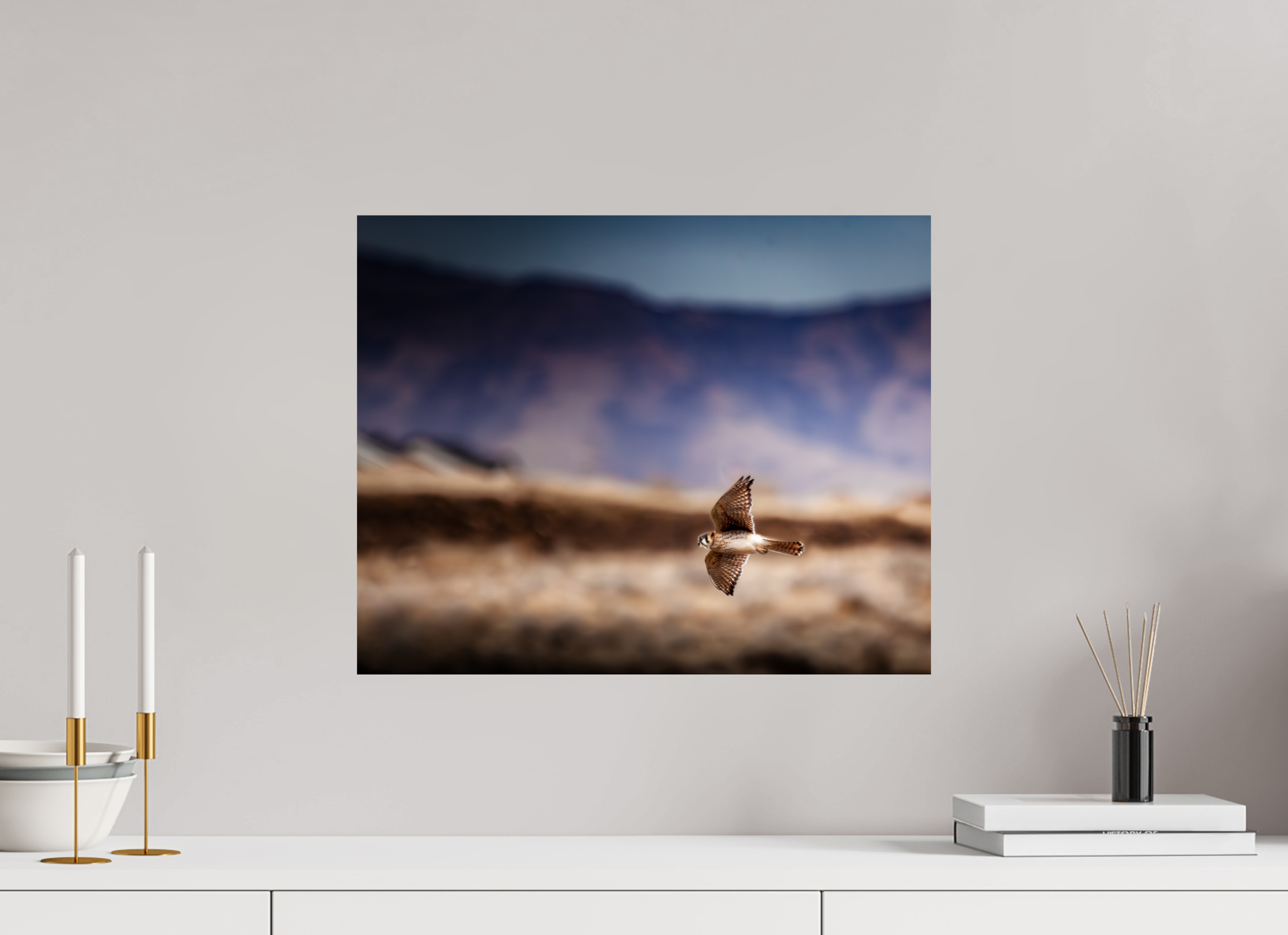 20 x 16″, Photo Print On Fuji Crystal DP II American Kestrel in Flight Salt Lake City Utah Foothills