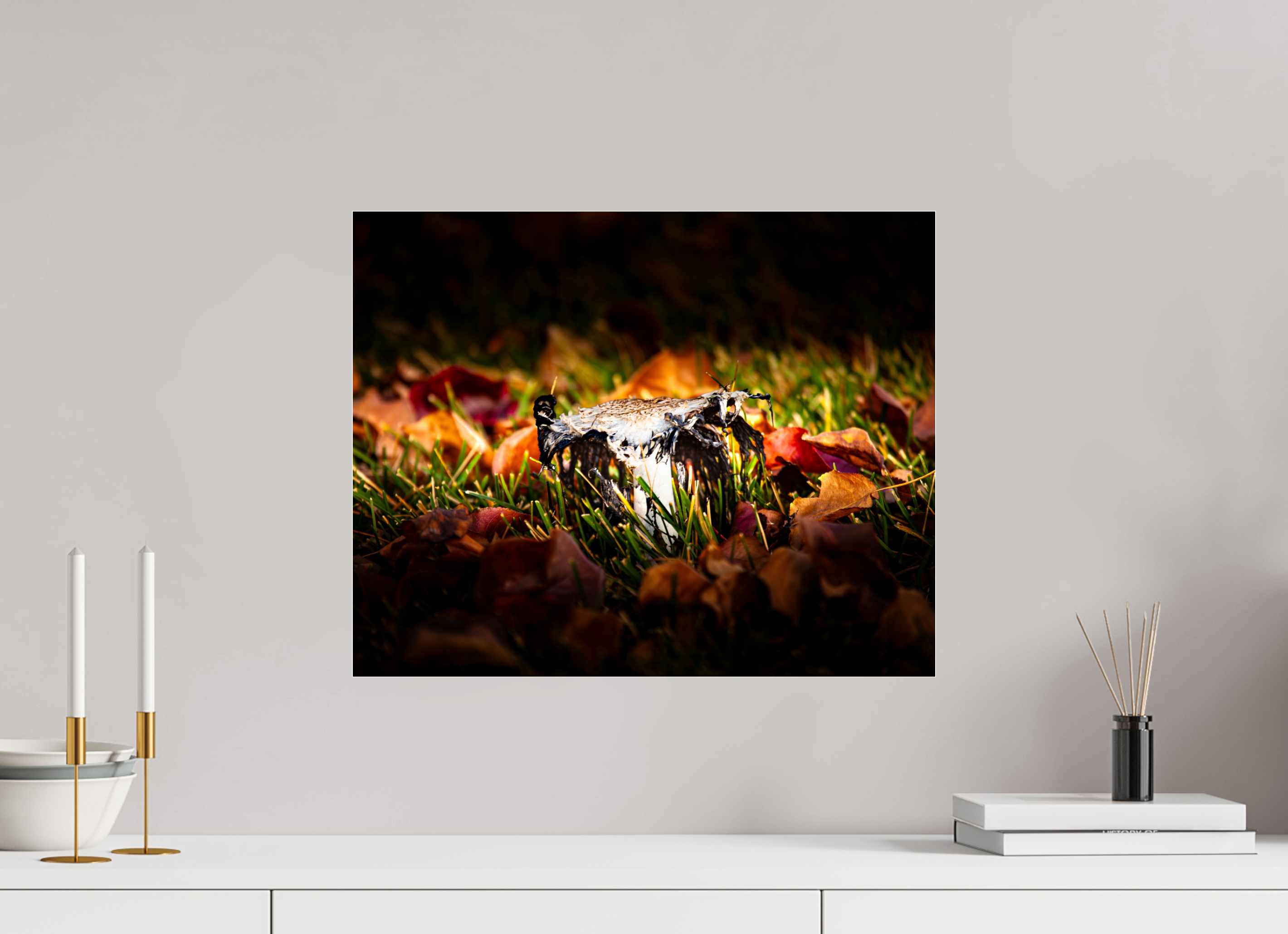 20 x 16″, Photo Print Under Acrylic Glass Shaggy Mane Mushroom Decaying in Autumn Leaves SLC