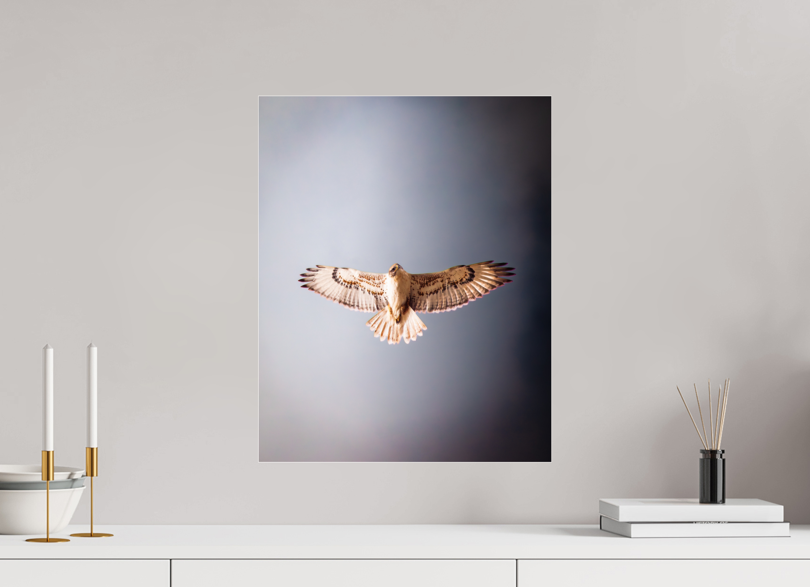 16 x 20″, Photo Print Under Acrylic Glass Red-tailed Hawk Soaring Overhead Salt Lake City