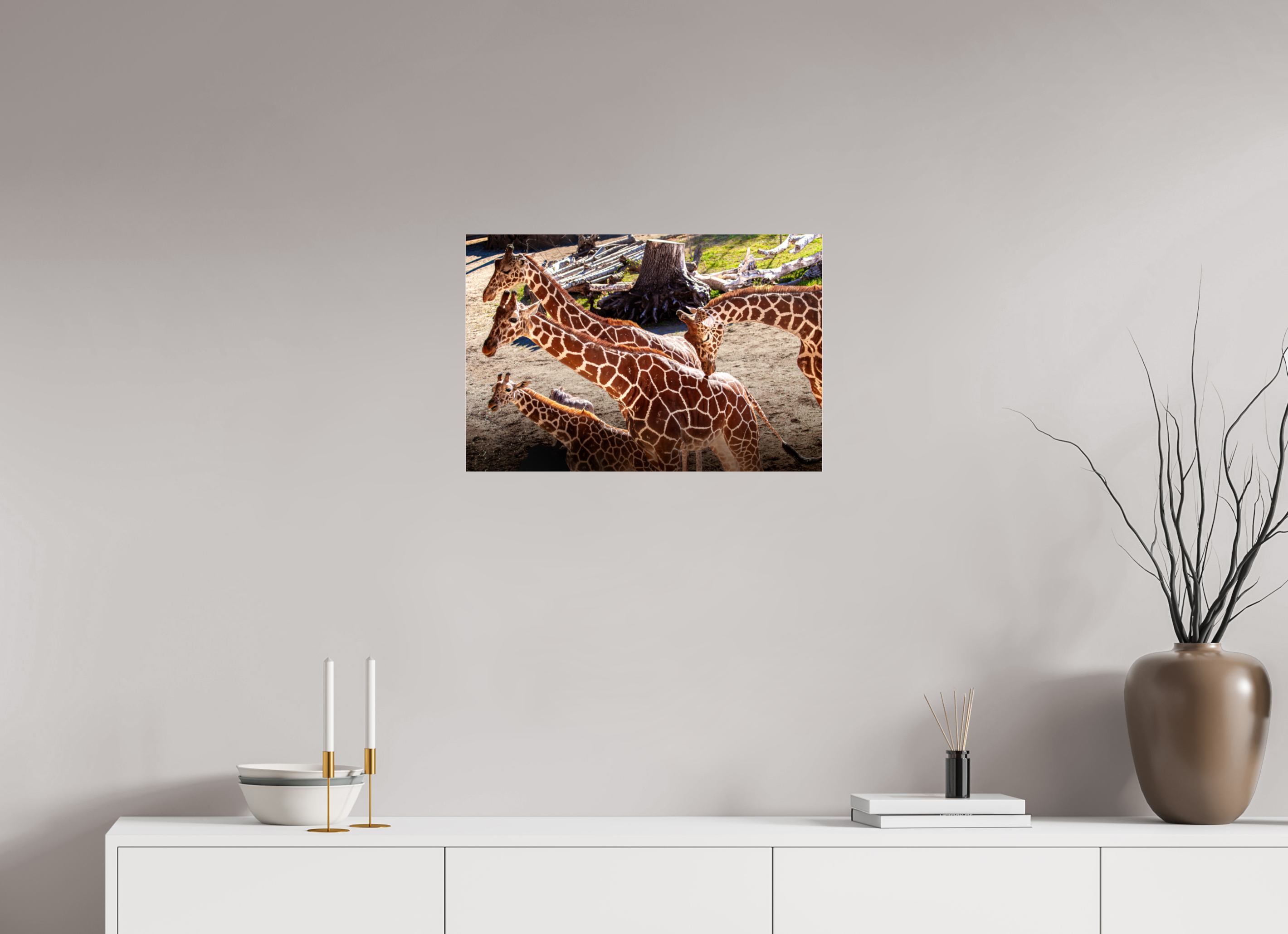 24 x 16″, Photo Print Under Acrylic Glass Reticulated Giraffe Family Hogle Zoo Salt Lake City-