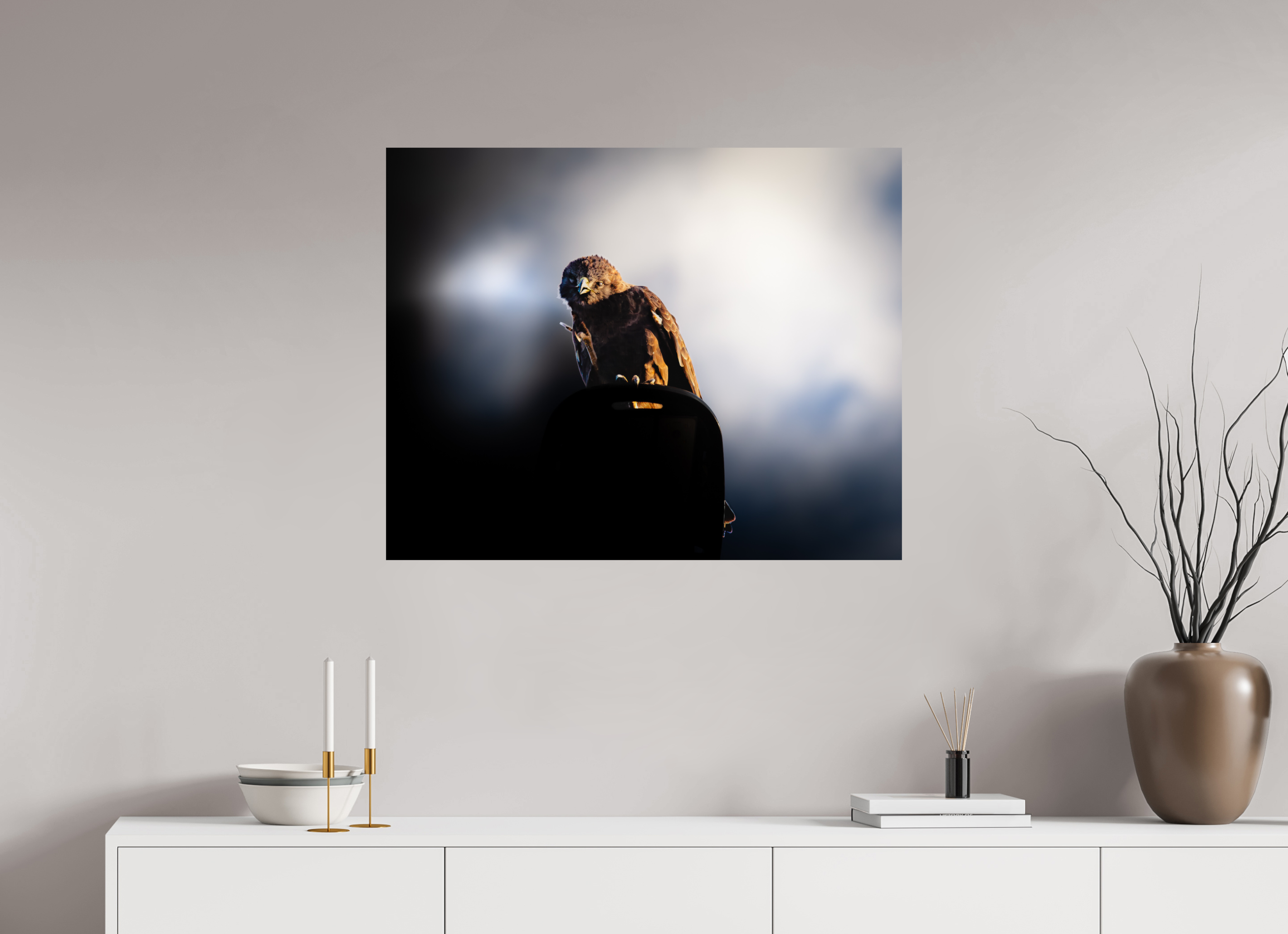 35 x 28″, Photo Print On Fuji Crystal DP II Majestic Dark Hawk Perched on an Urban Street Light at Golden Hour