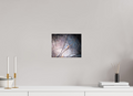 10 x 8″, Photo Print On Fuji Crystal DP II American Robin Perched in Winter Branches Salt Lake City