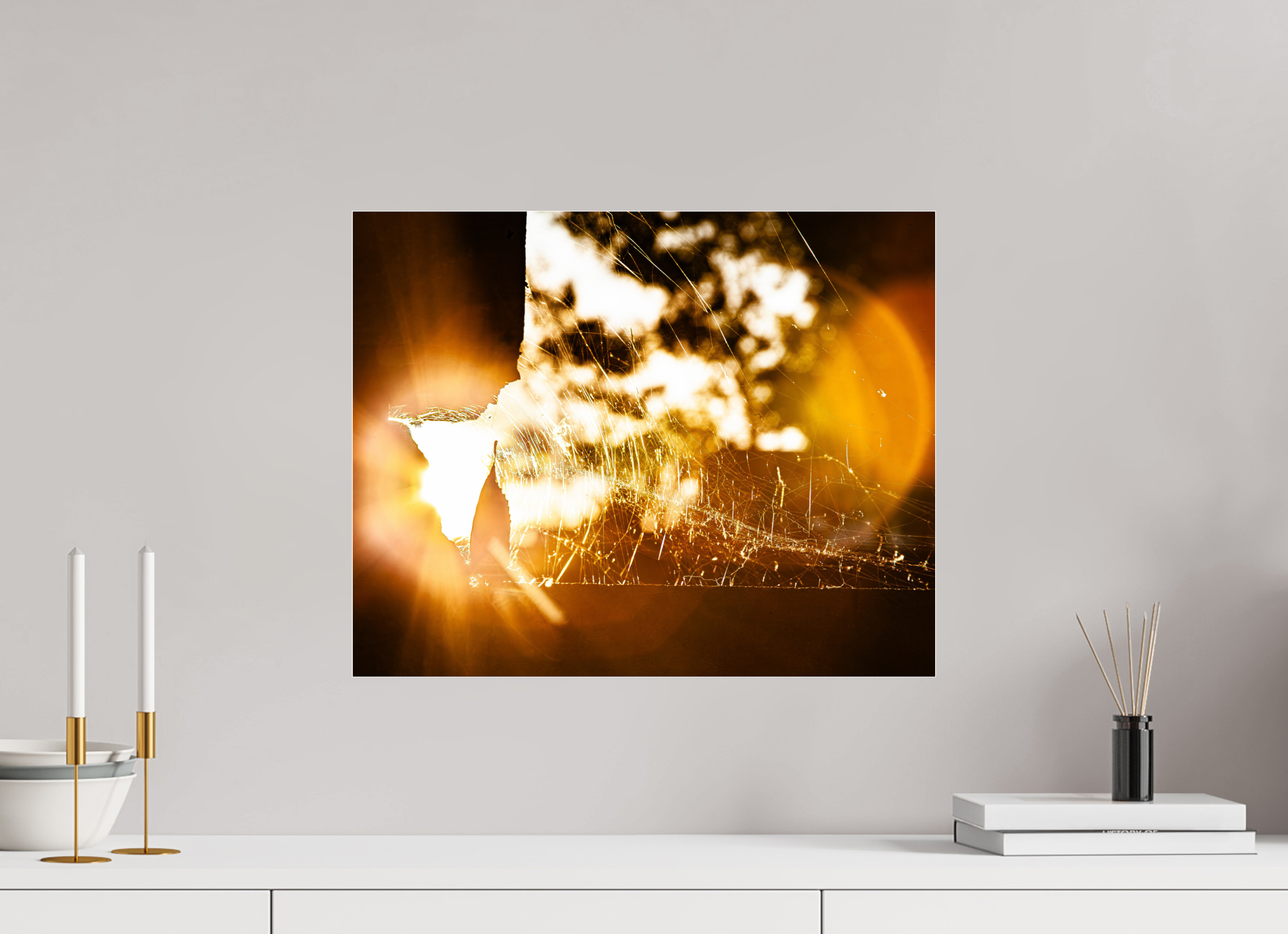 20 x 16″, Photo Print Under Acrylic Glass Sunlit Spider Web Golden Hour Salt Lake City