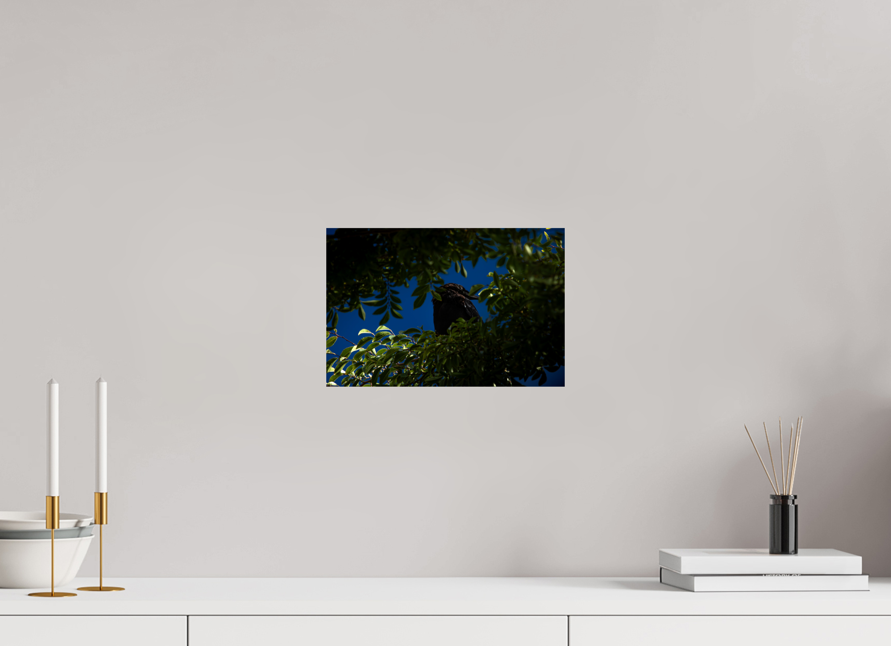 12 x 8″, Photo Print On Fuji Crystal DP II Common Raven Hidden in Tree Foliage West Jordan Utah