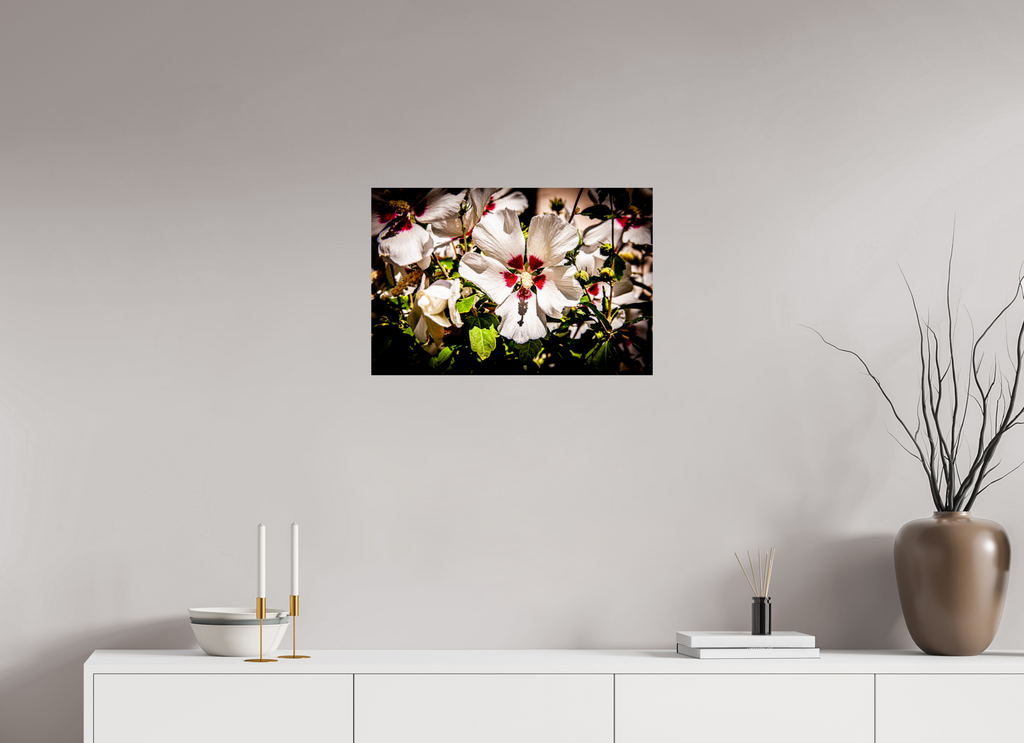 24 x 16″, Photo Print On Fuji Crystal DP II White Rose of Sharon Hibiscus Salt Lake City