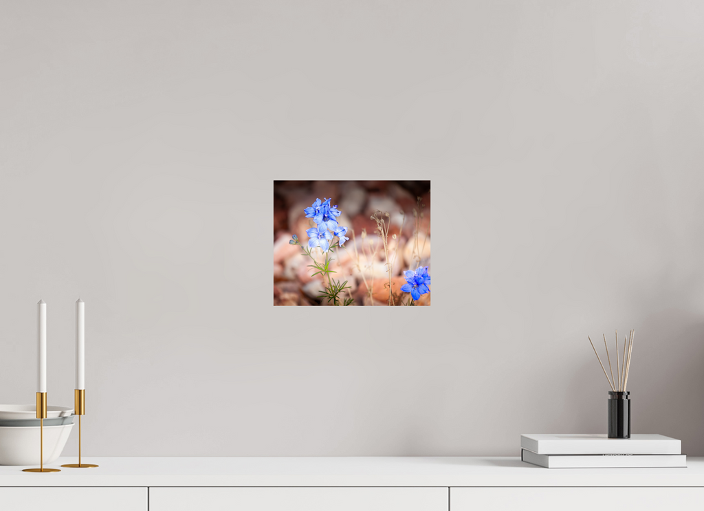 10 x 8″, Photo Print On Fuji Crystal DP II Blue Delphinium Larkspur Wildflowers Salt Lake City