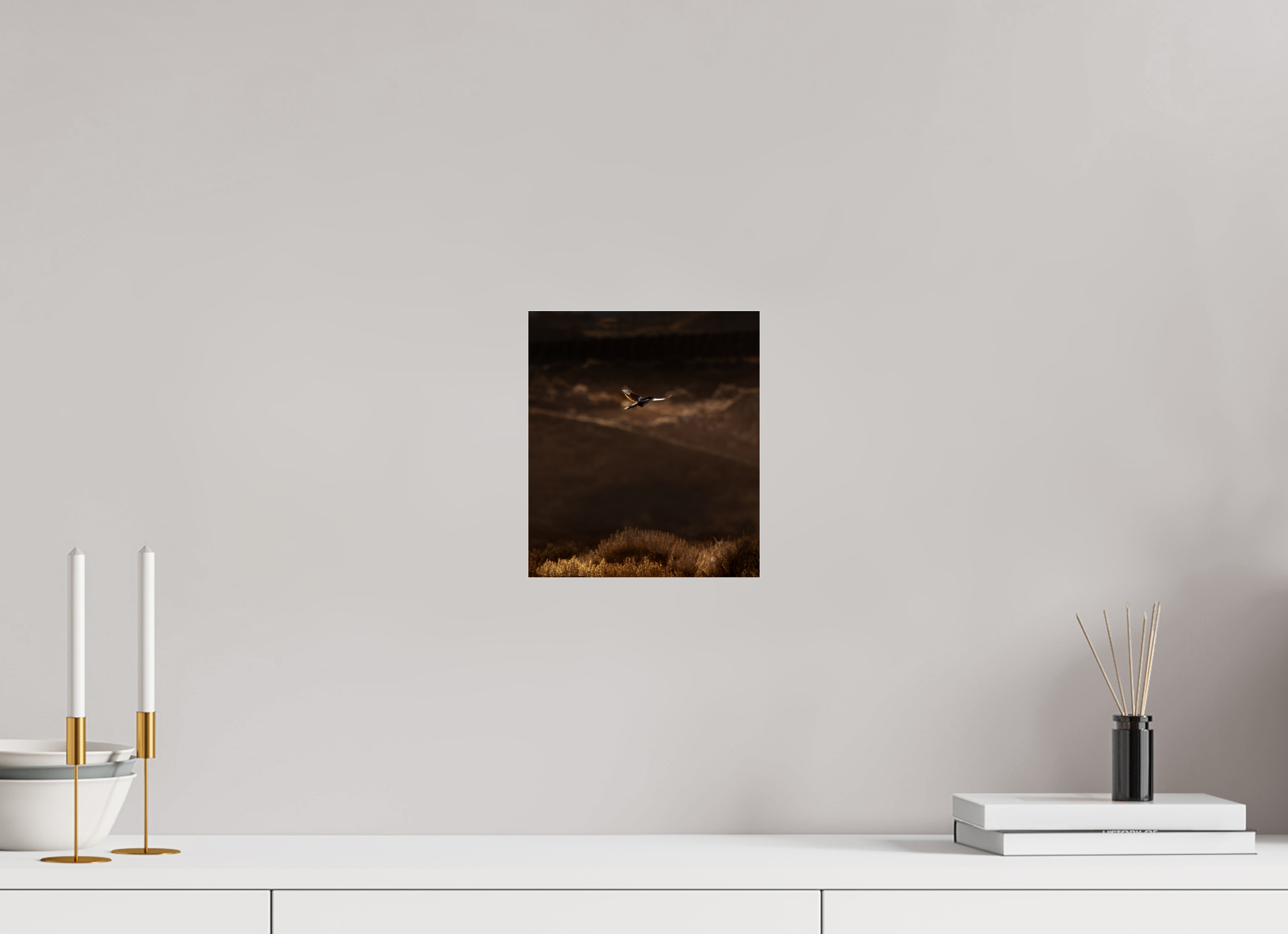8 x 9.2″, Photo Print Under Acrylic Glass Black-billed Magpie Flight Golden Hour Salt Lake City