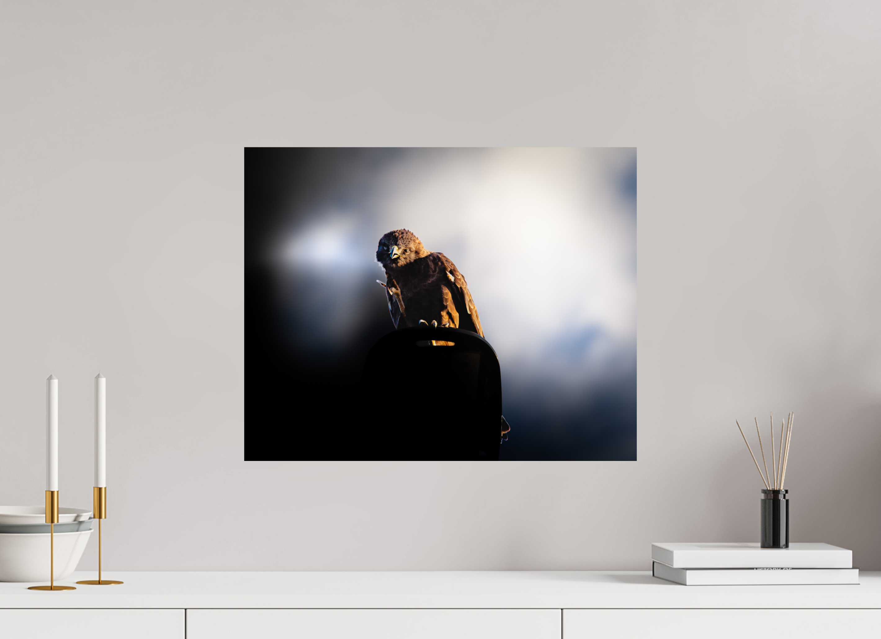20 x 16″, Photo Print On Fuji Crystal DP II Majestic Dark Hawk Perched on an Urban Street Light at Golden Hour