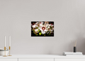 12 x 8″, Photo Print On Fuji Crystal DP II White Rose of Sharon Hibiscus Salt Lake City