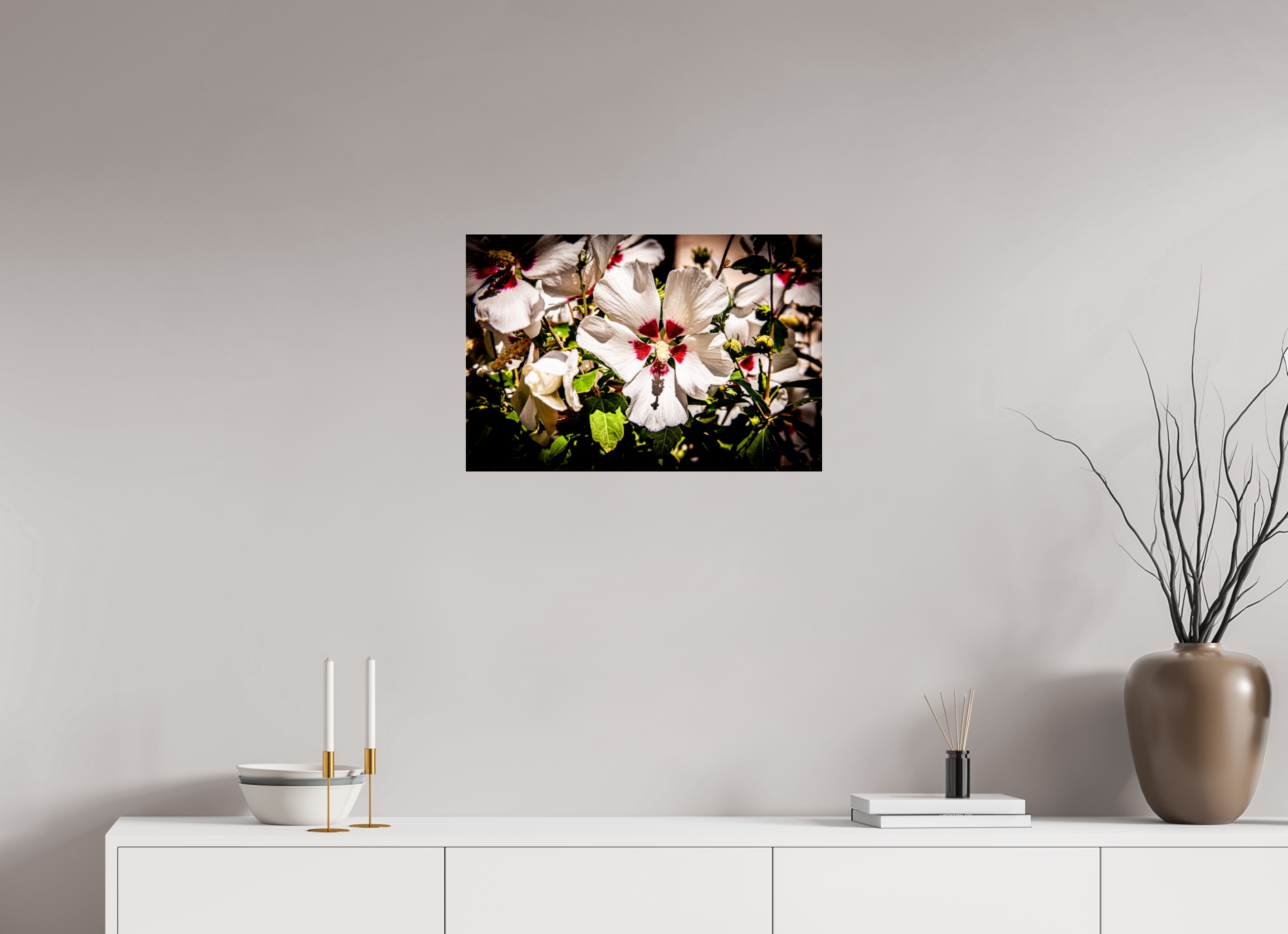 24 x 16″, Photo Print Under Acrylic Glass White Rose of Sharon Hibiscus Salt Lake City