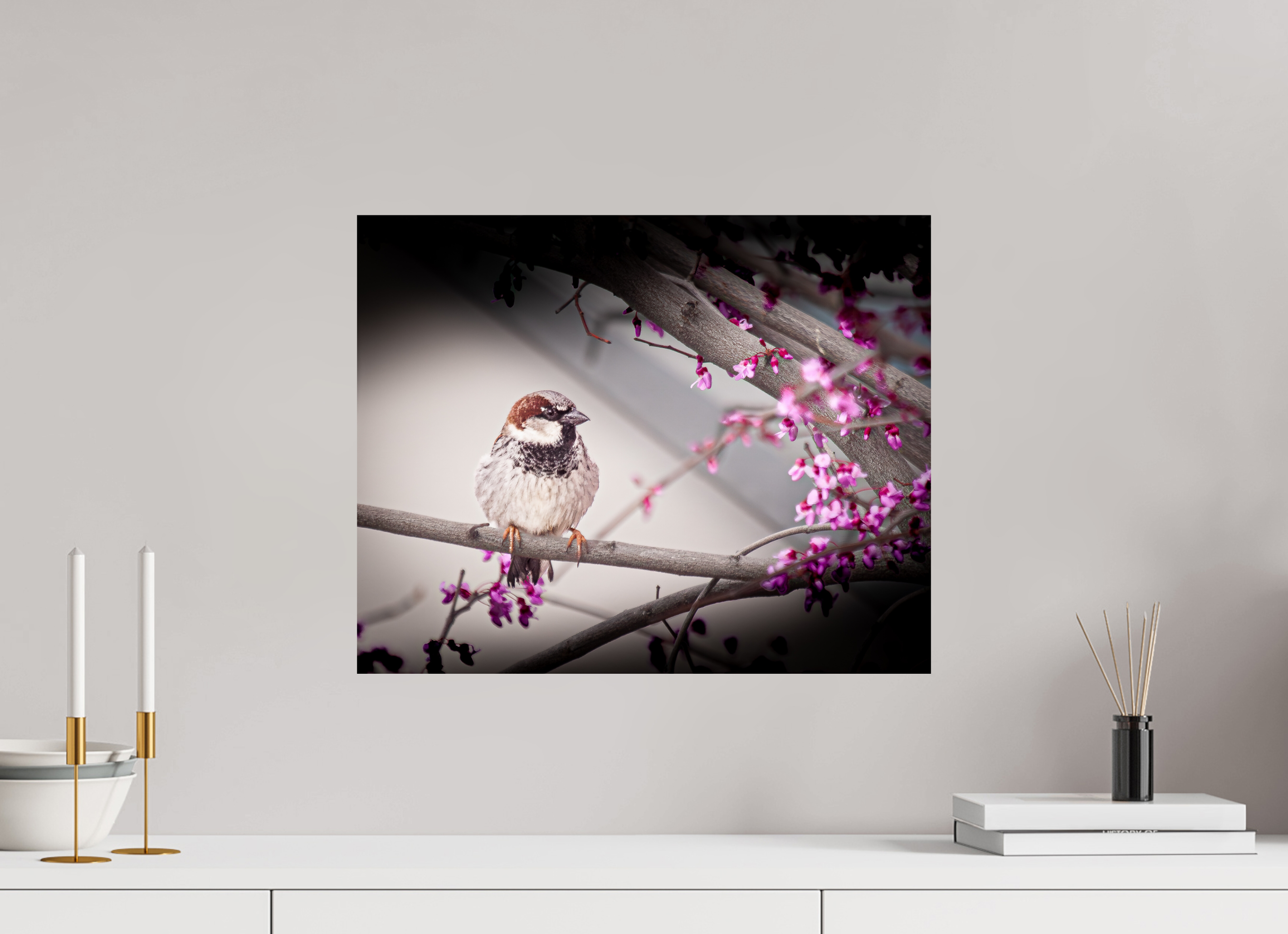 20 x 16″, Photo Print On Fuji Crystal DP II House Sparrow on Spring Redbud Branch Salt Lake City