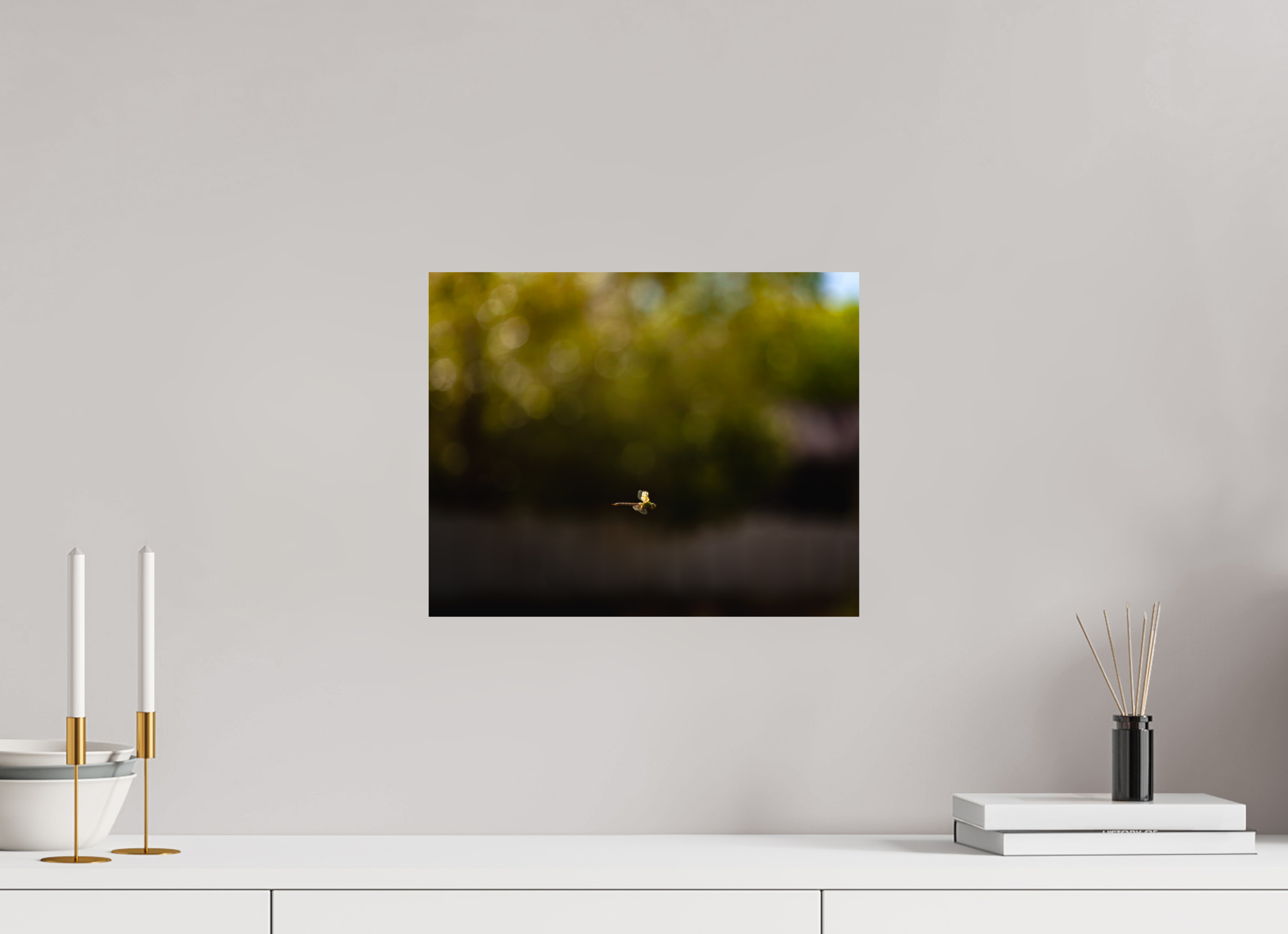 15 x 12″, Photo Print On Fuji Crystal DP II Dragonfly in Flight Golden Hour Salt Lake City