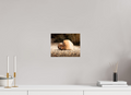 10 x 8″, Photo Print On Fuji Crystal DP II Sunlit Boulder on Mountain View Bike Trail Salt Lake City