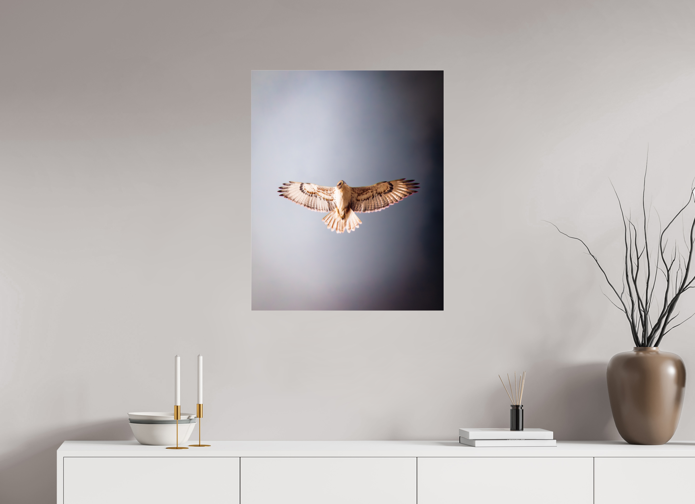 24 x 30″, Photo Print Under Acrylic Glass Red-tailed Hawk Soaring Overhead Salt Lake City